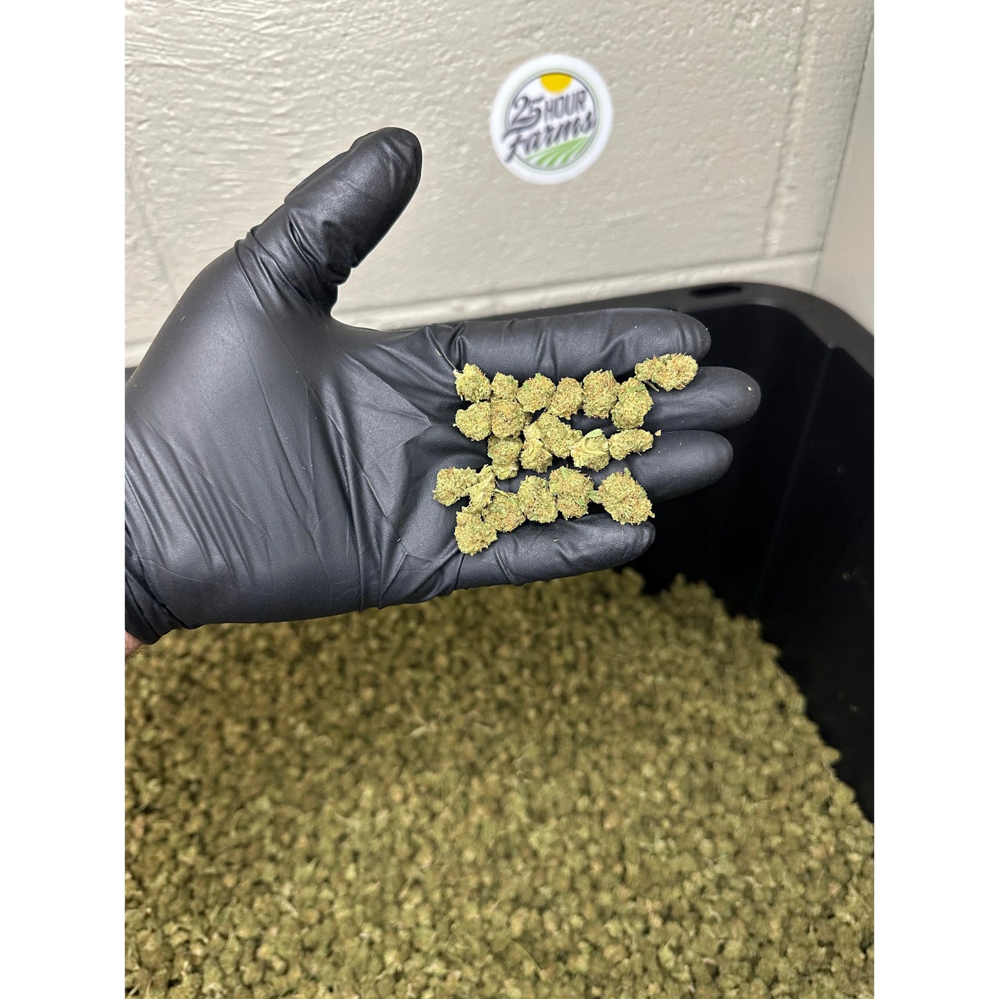 Biscotti Hemp Flower Smalls