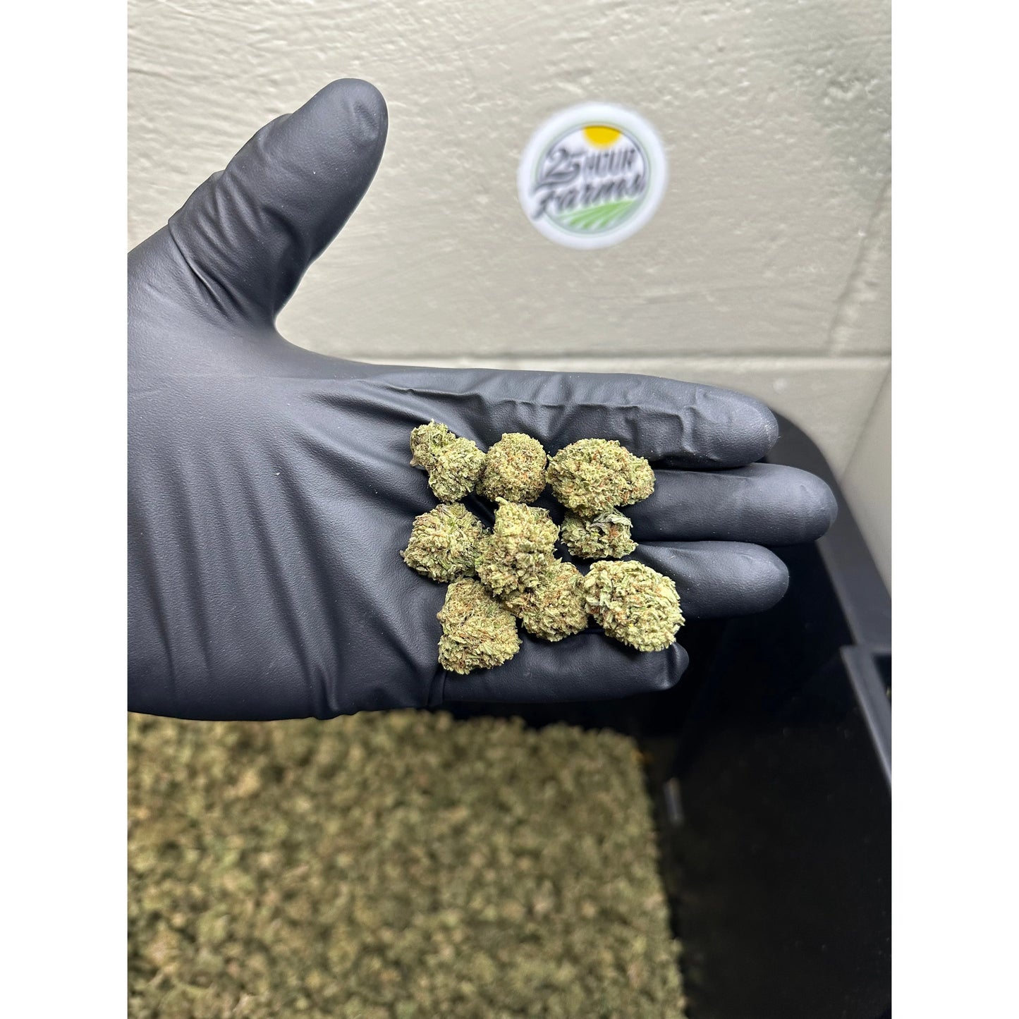Lemon Runtz CBD Hemp Flower Smalls