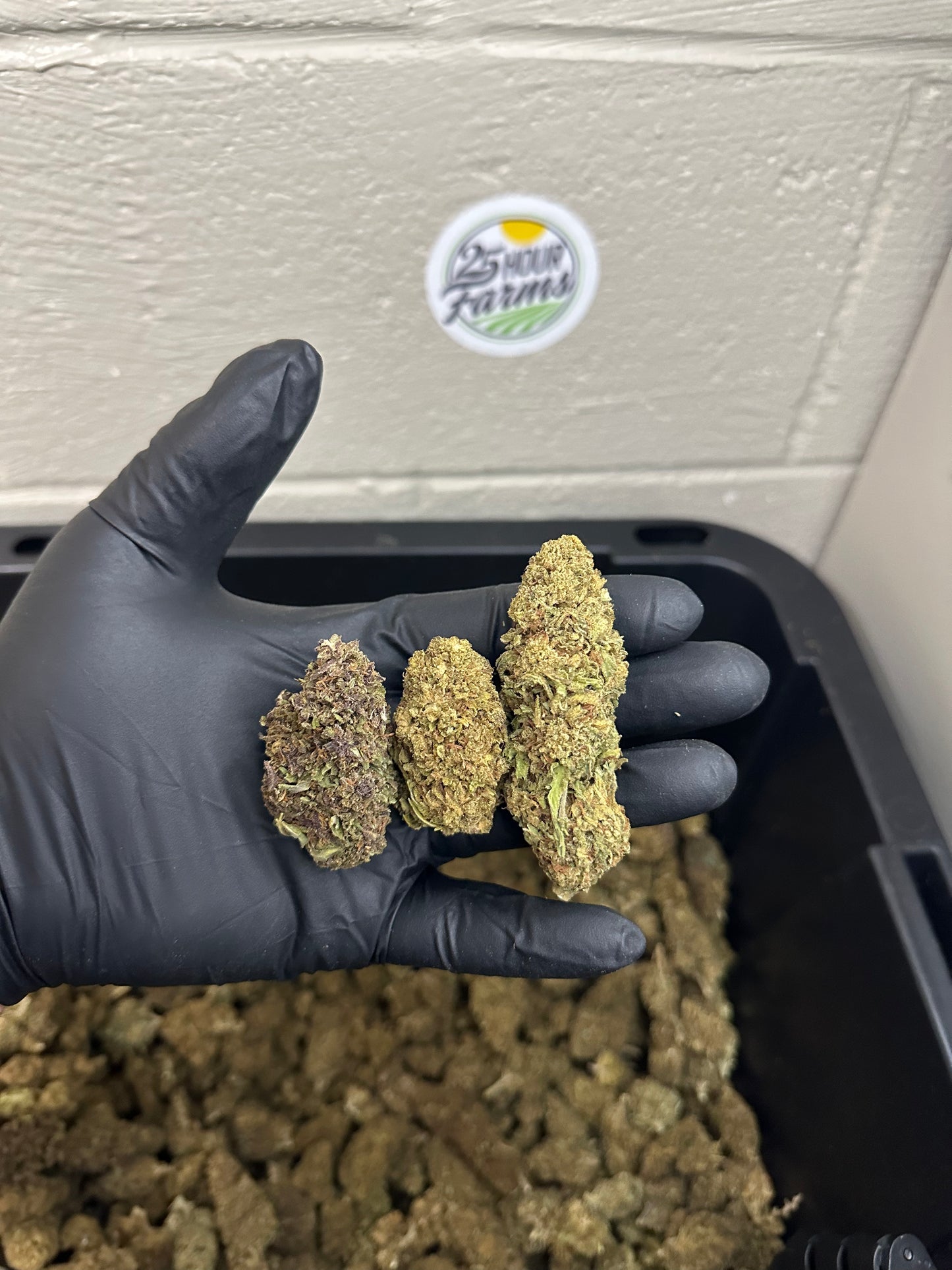 View details for Salad Bar Hemp Flower Salad Bar Hemp Flower