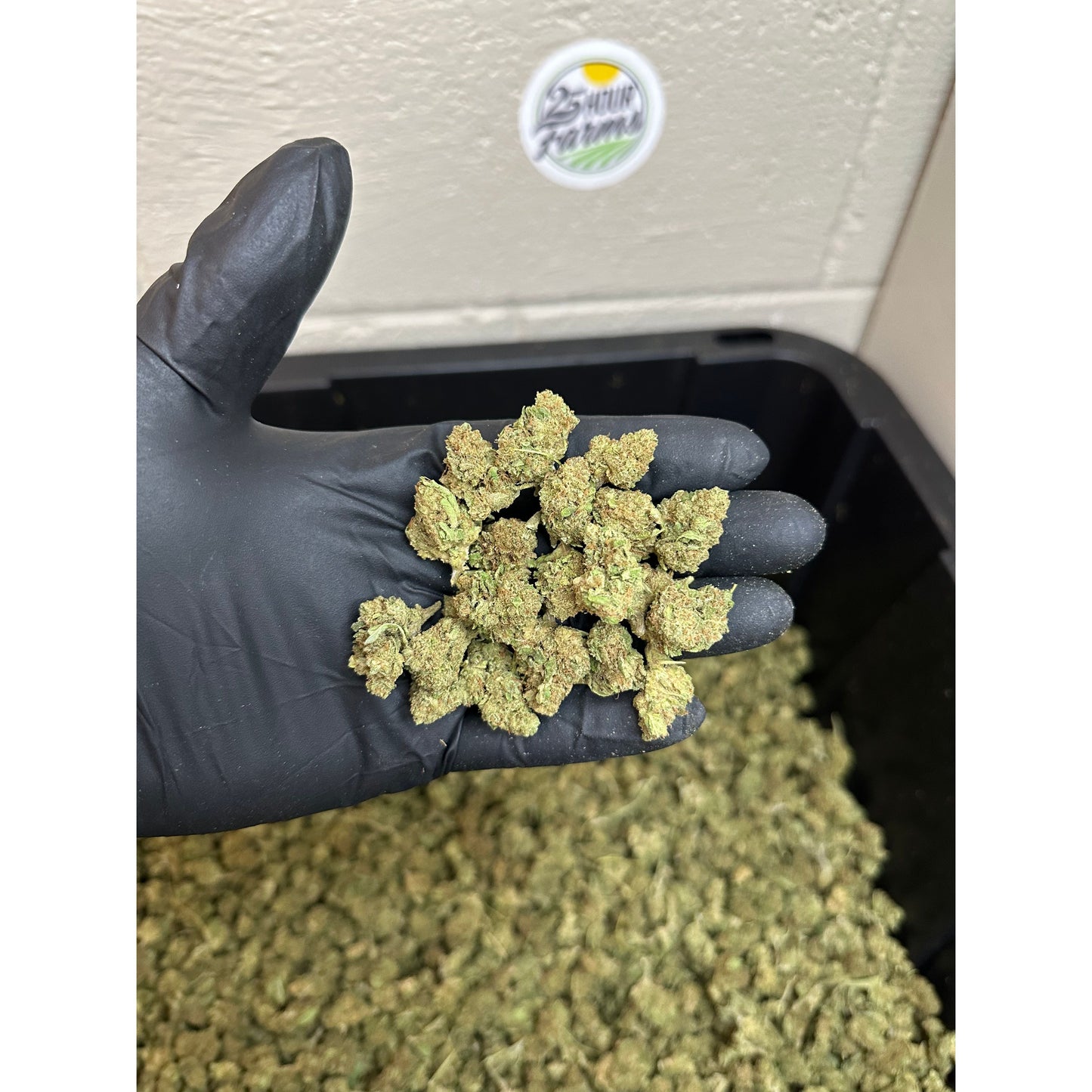 Sour Pineapple CBD Hemp Flower Smalls