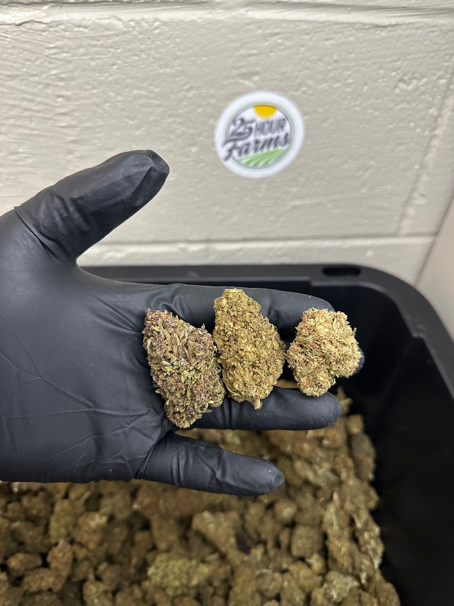 View details for Salad Bar Hemp Flower Salad Bar Hemp Flower
