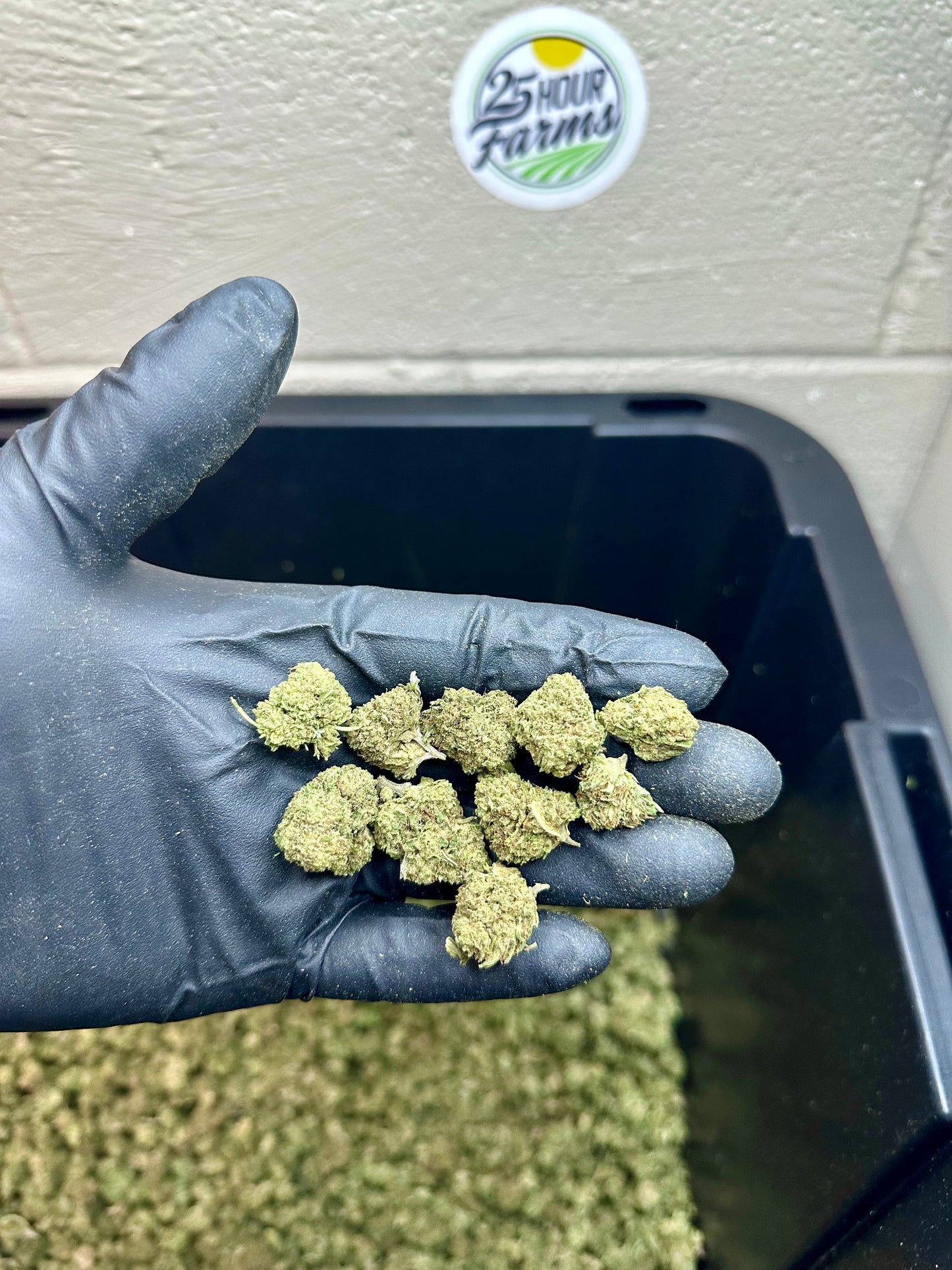 Platinum Bubba Hemp Flower Smalls