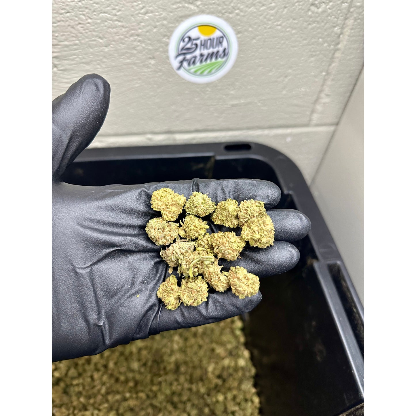 Snow White CBG Hemp Flower Smalls