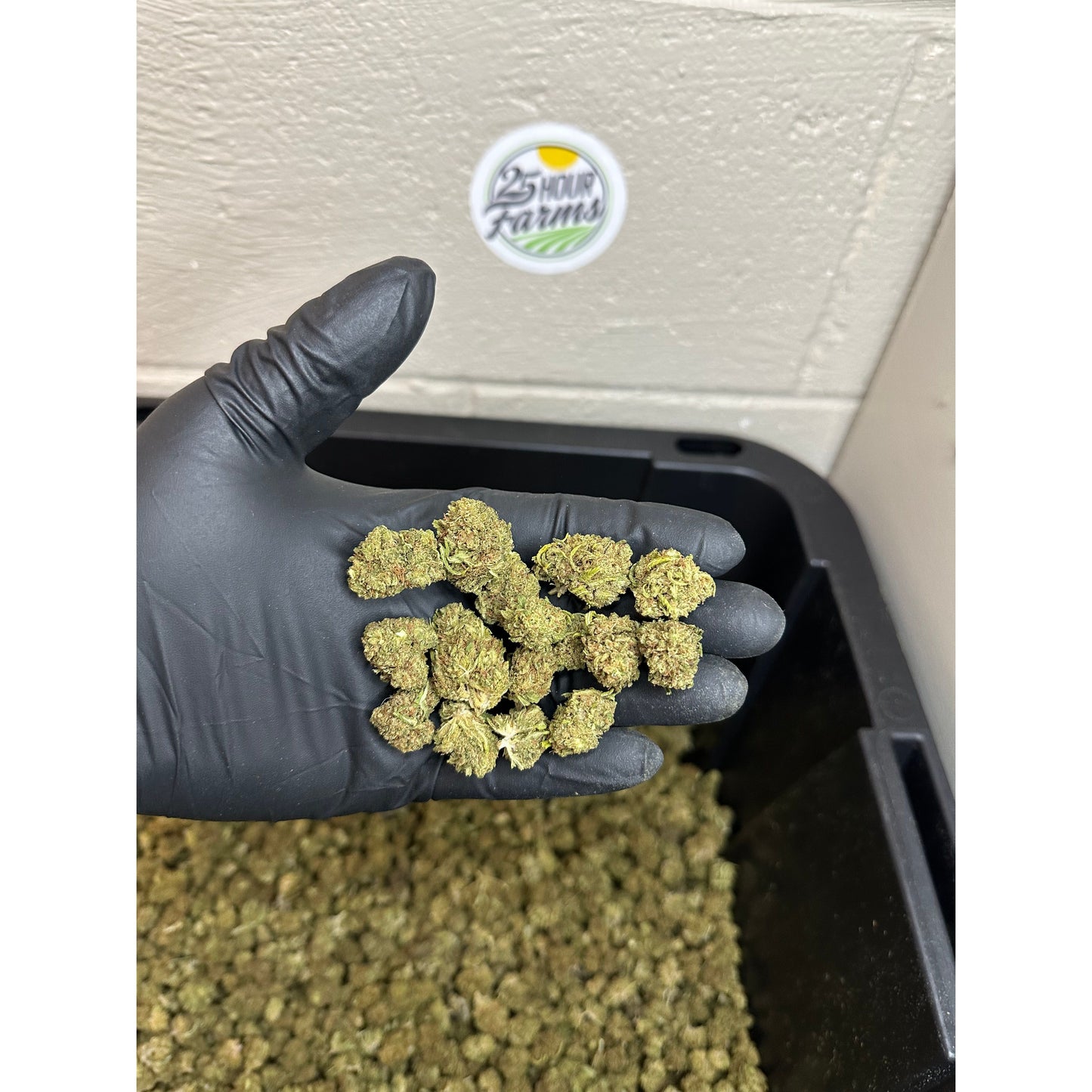 Bubba 59 Hemp Flower Smalls