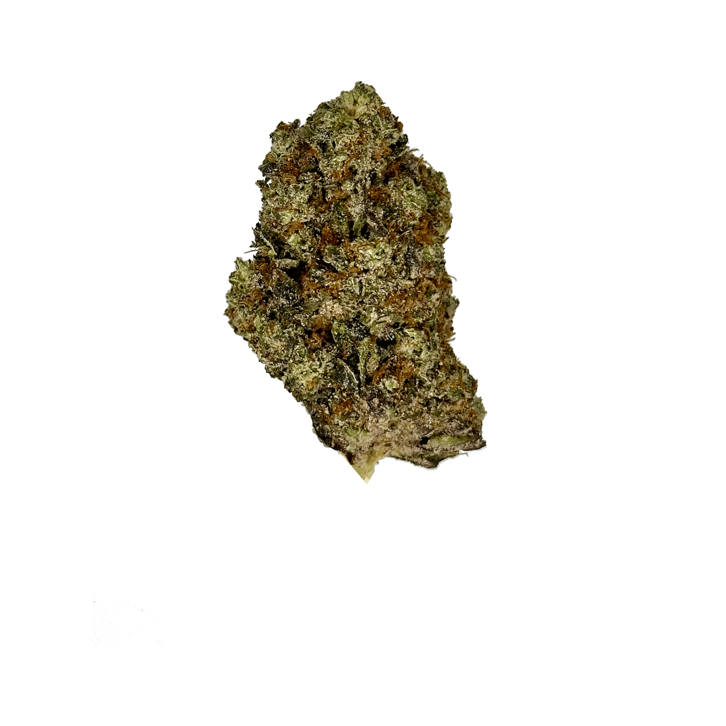 Acai Sherbert THCa Flower