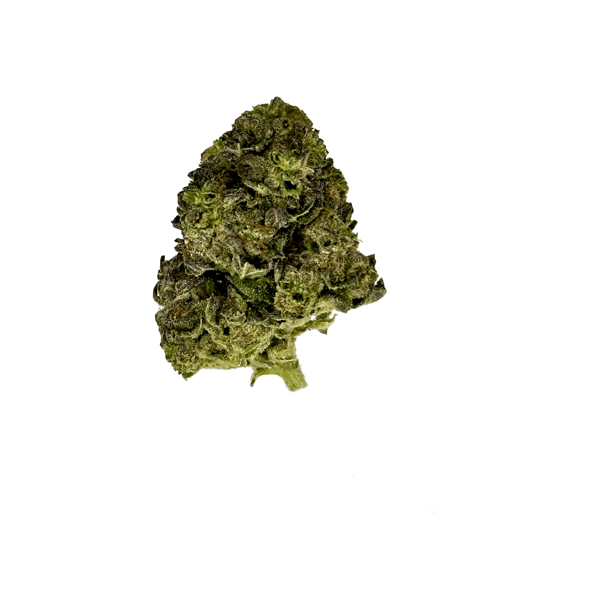 Black Cherry Gelato THCa Flower