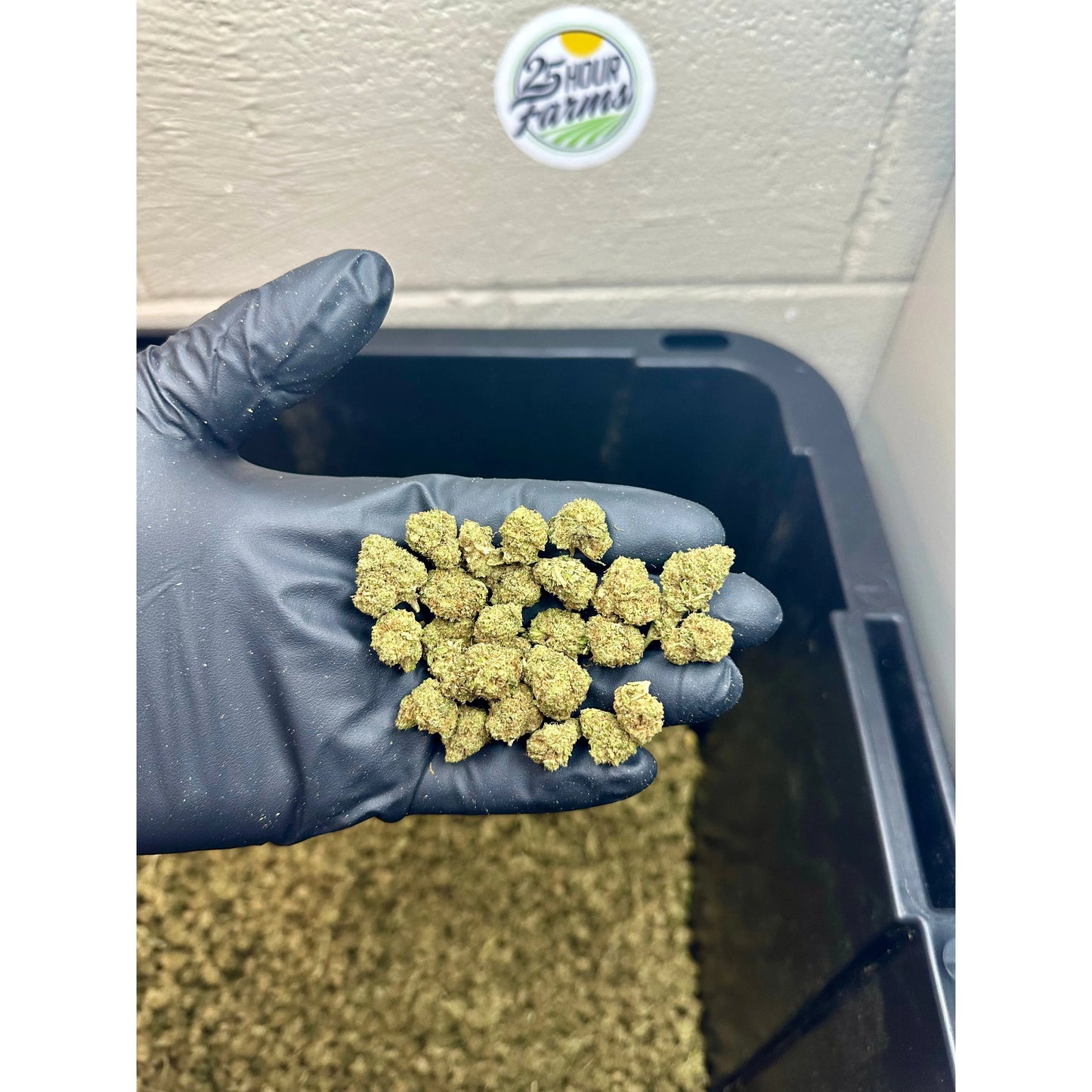 Mimosa Hemp Flower Smalls