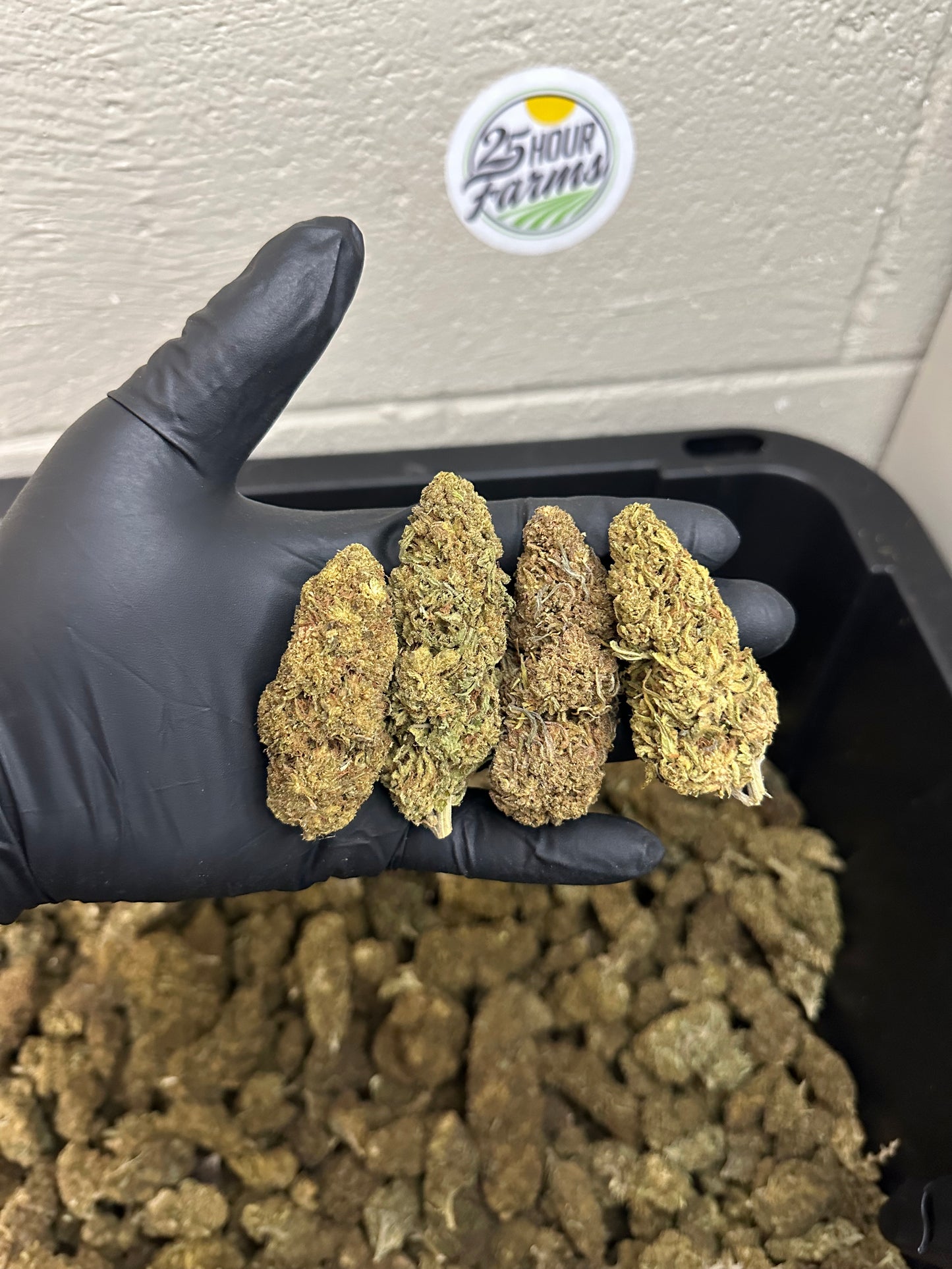 View details for Salad Bar Hemp Flower Salad Bar Hemp Flower