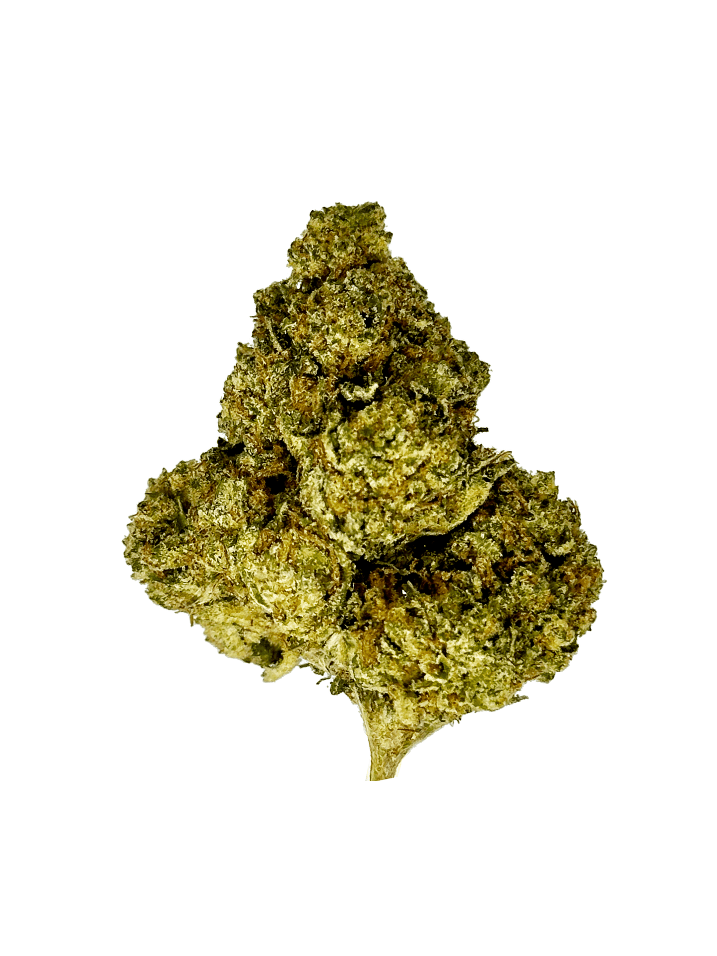 Citrus Blast strain - THCA Flower