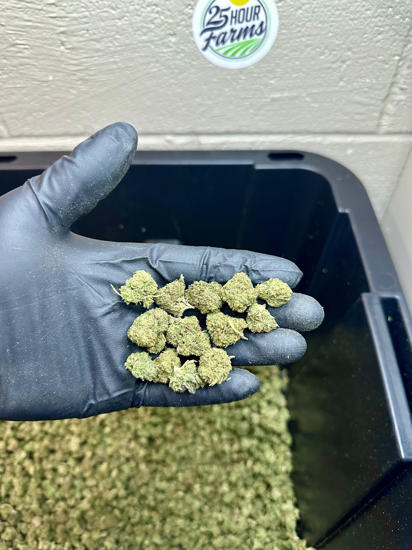 Platinum Bubba Hemp Flower Smalls