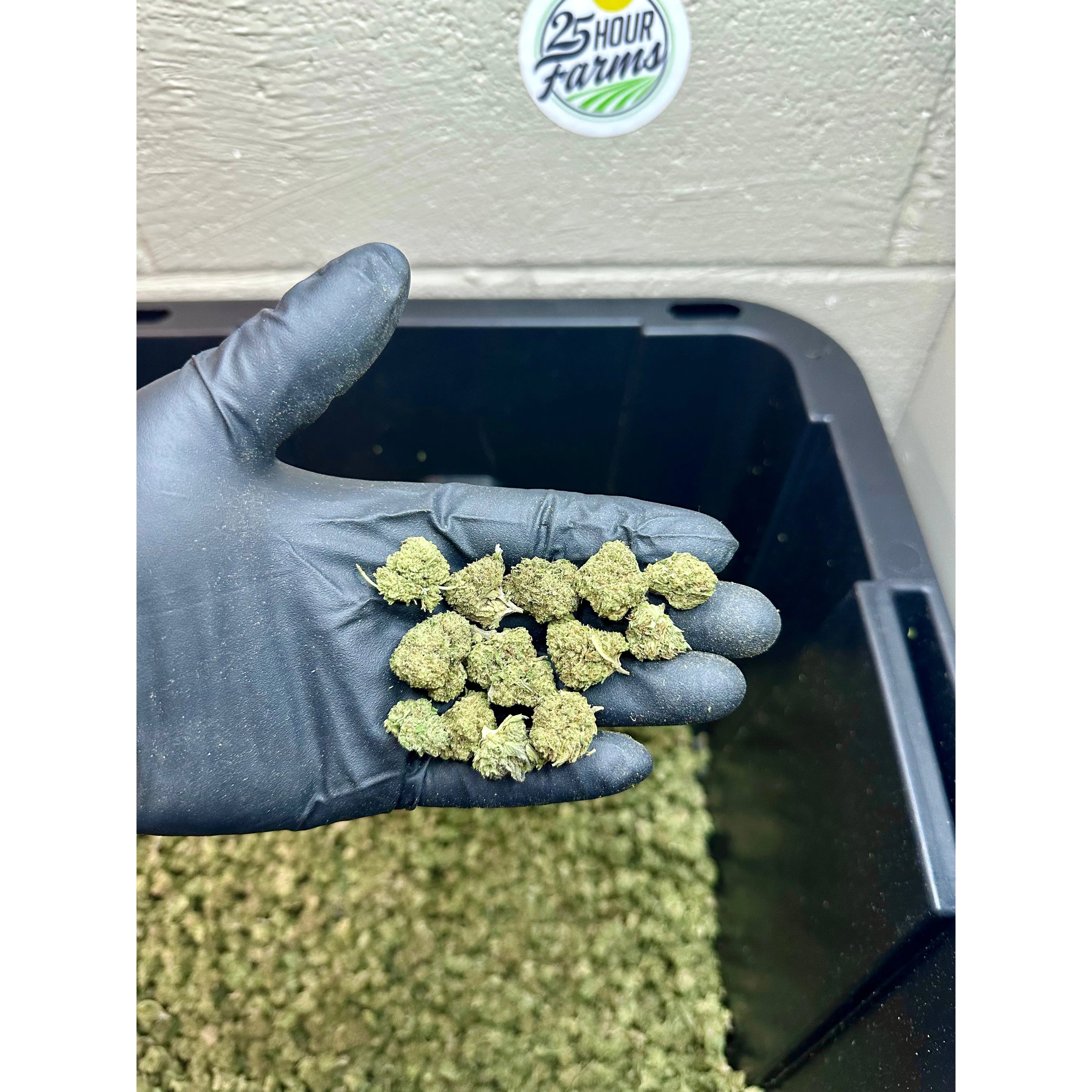 Platinum Bubba Hemp Flower Smalls