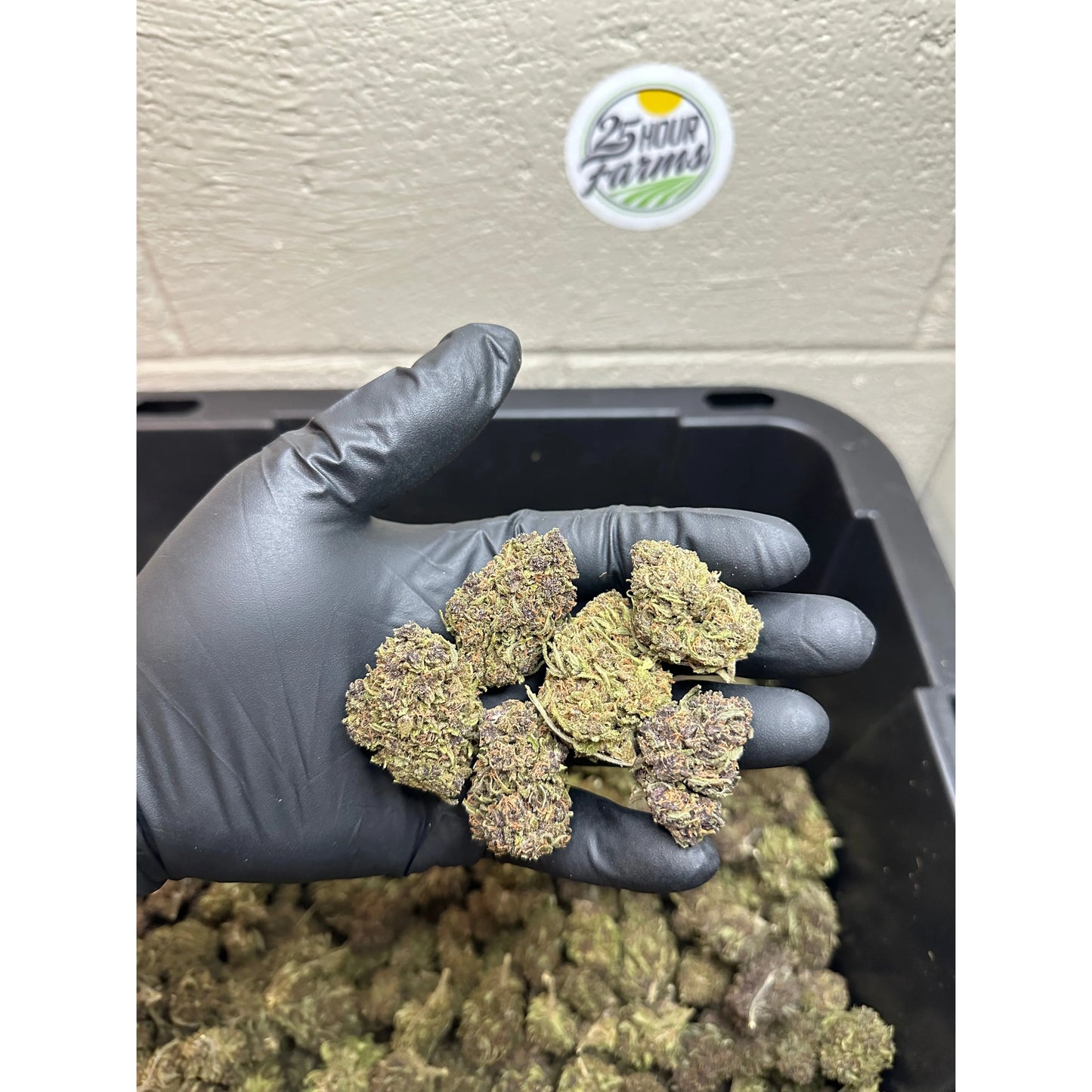 Purple Skunk Hemp Flower