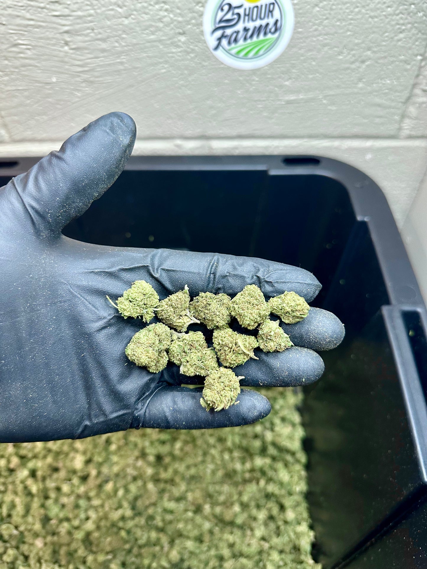 Platinum Bubba Hemp Flower Smalls