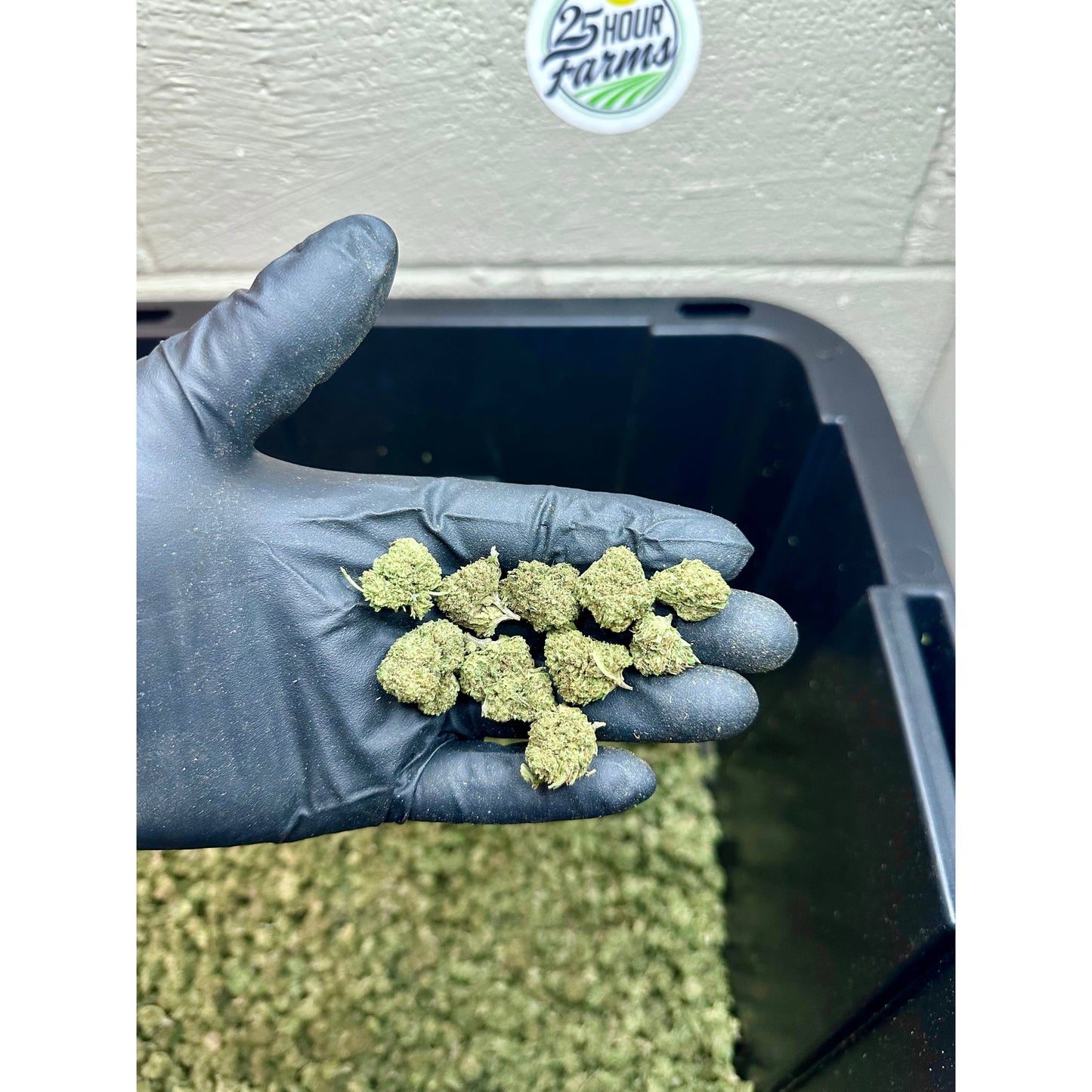 Platinum Bubba Hemp Flower Smalls
