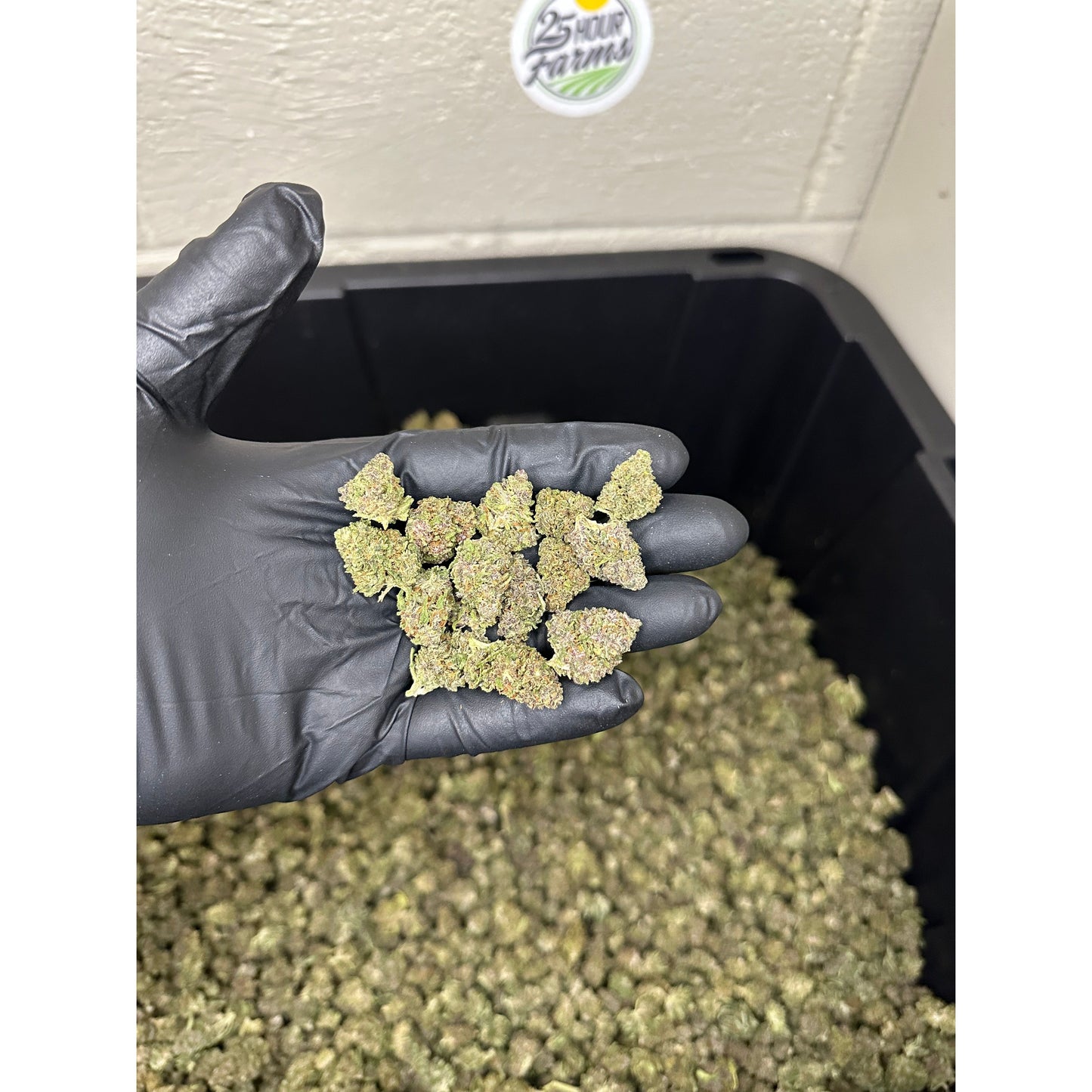 Purple Octane Hemp Flower Smalls