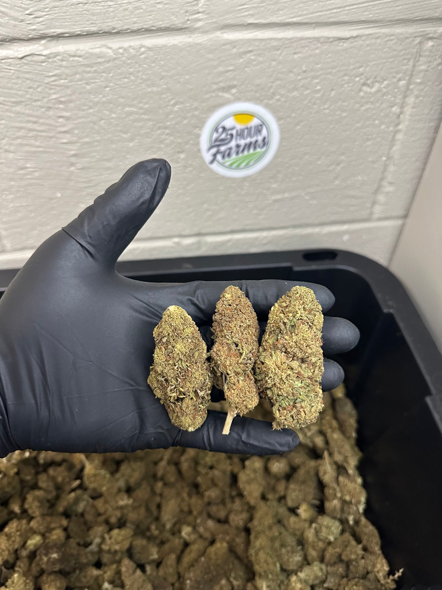 View details for Salad Bar Hemp Flower Salad Bar Hemp Flower