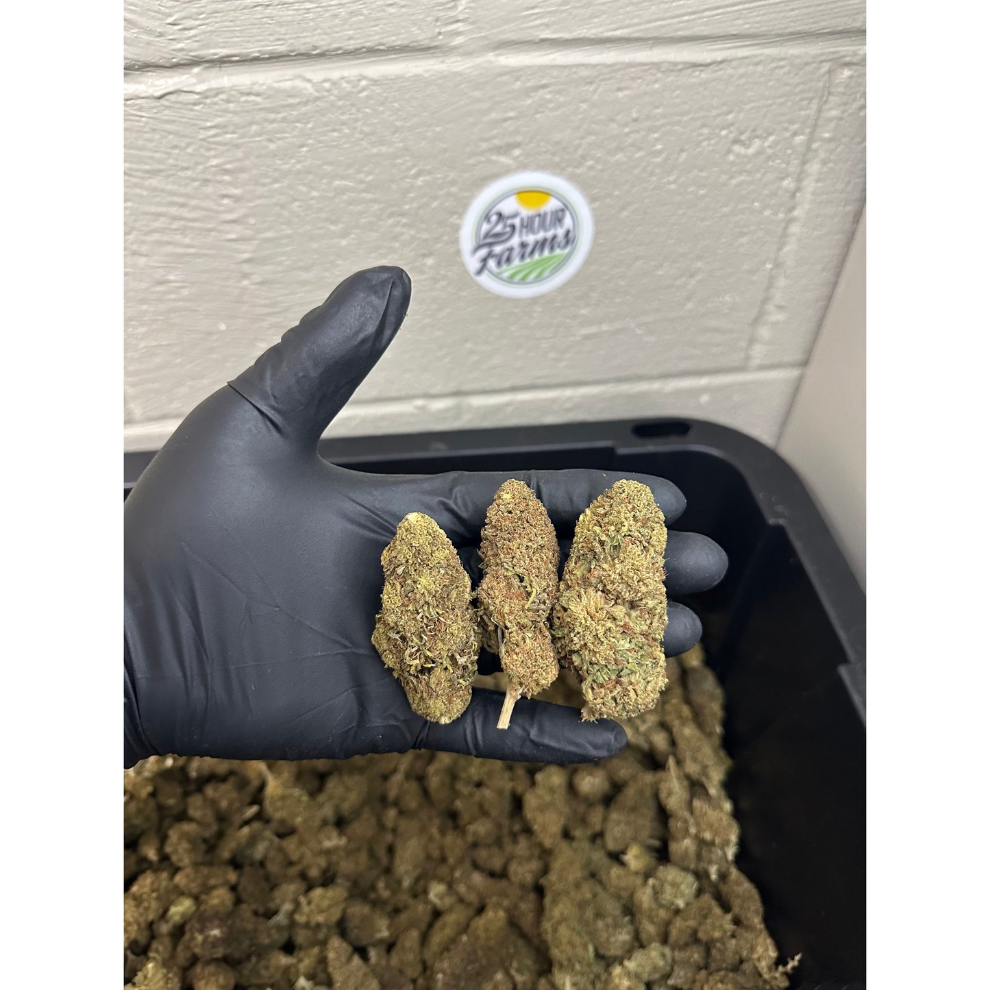 View details for Salad Bar Hemp Flower Salad Bar Hemp Flower