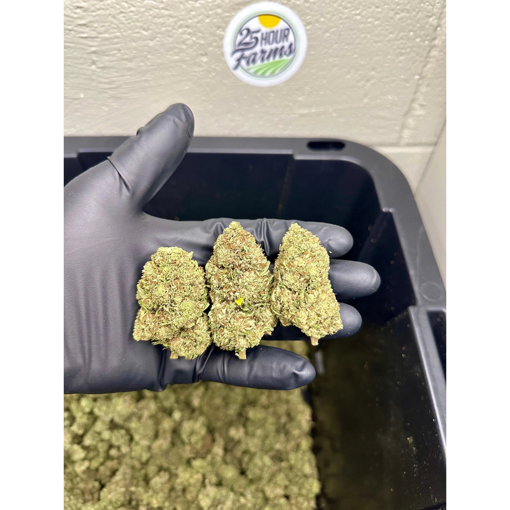 Platinum Bubba Kush Hemp Flower