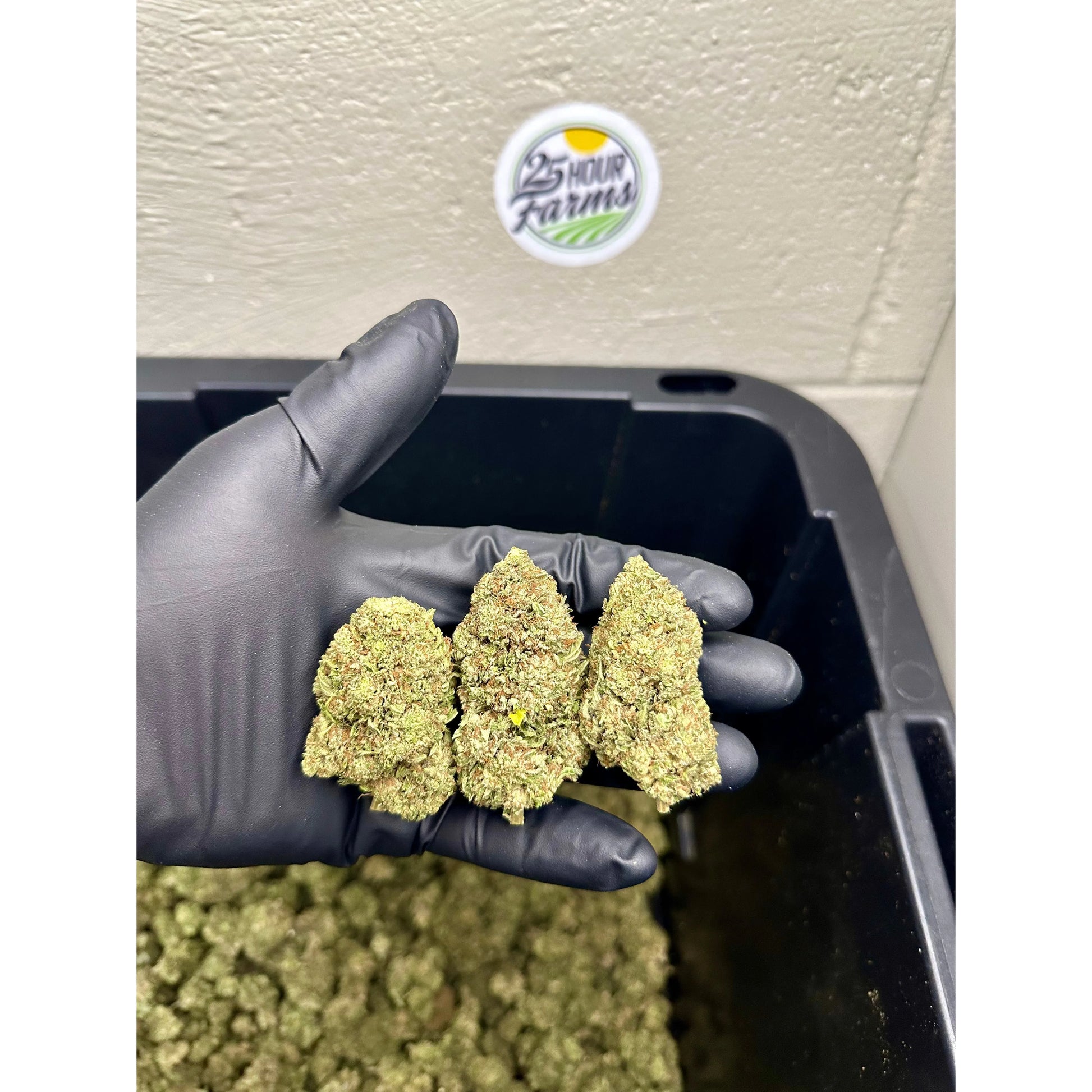 Platinum Bubba Kush Hemp Flower