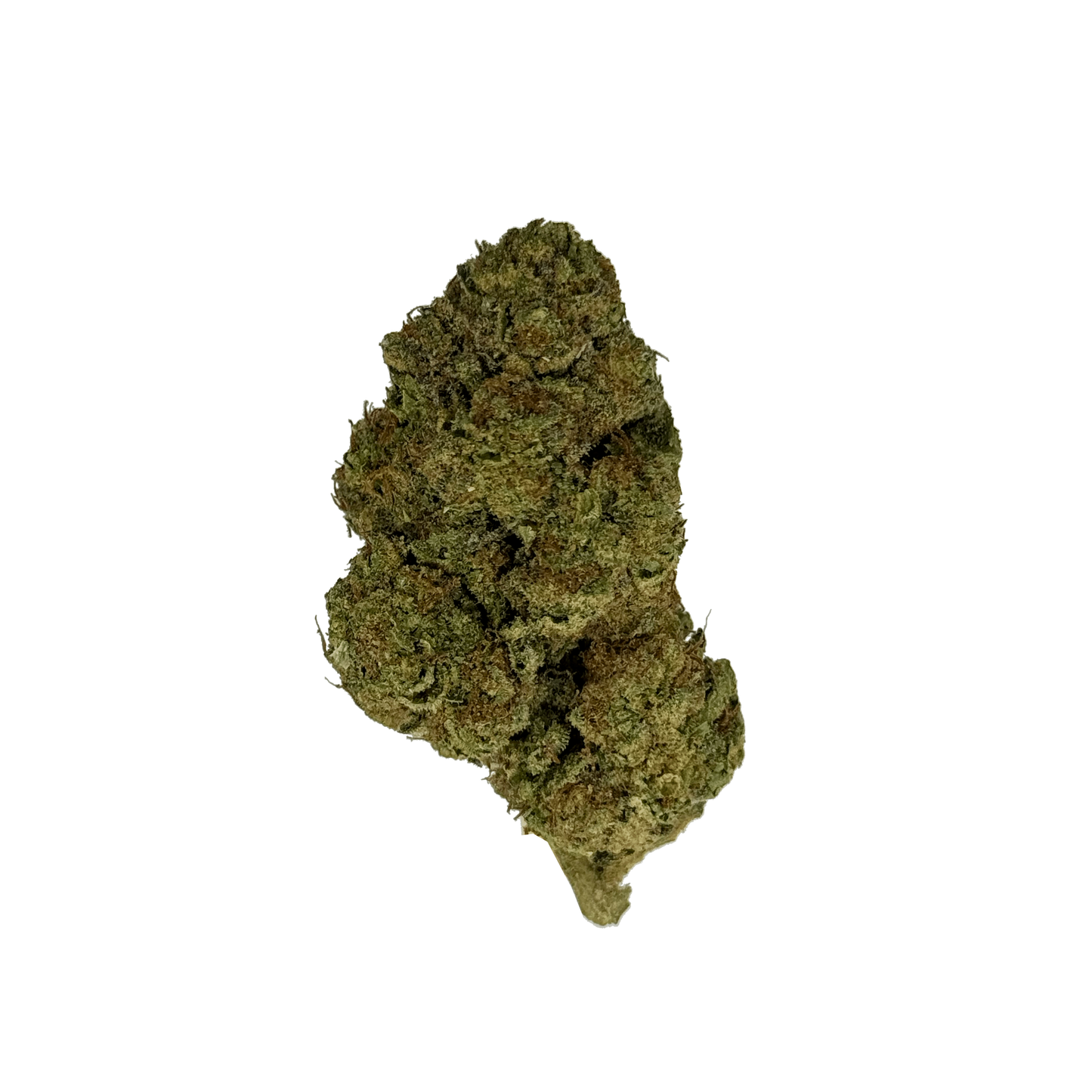 GMO THCa Flower