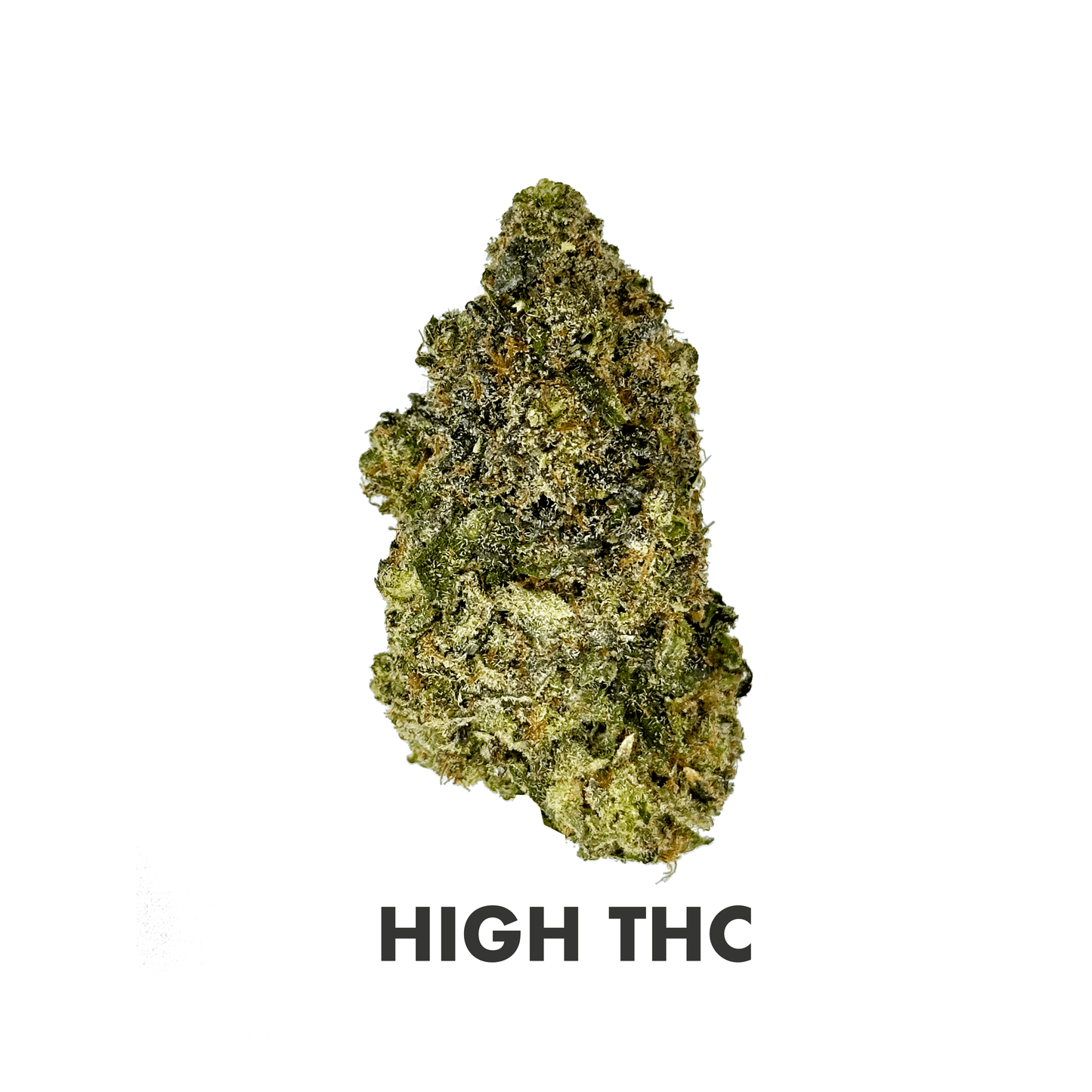 Indoor Hydro Gary Payton THCA Flower