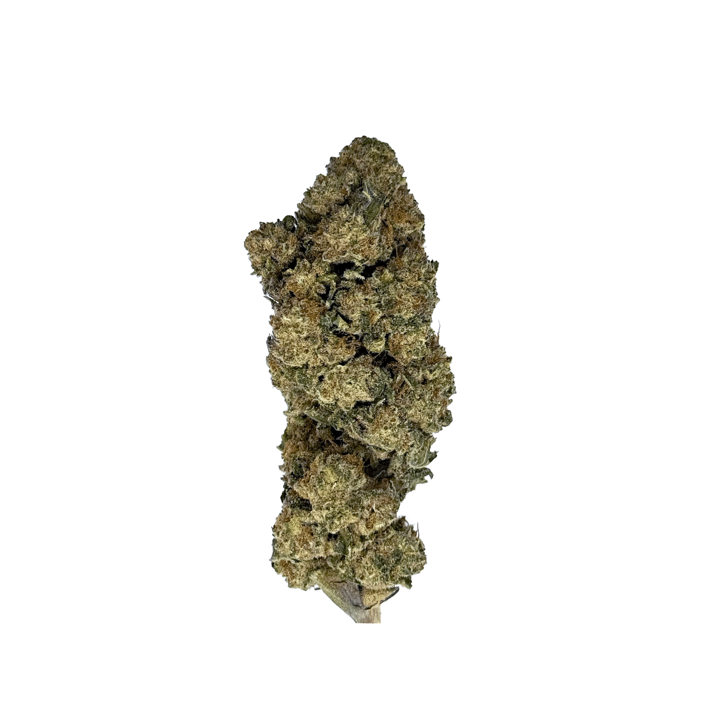 Gelato Kush THCa Flower