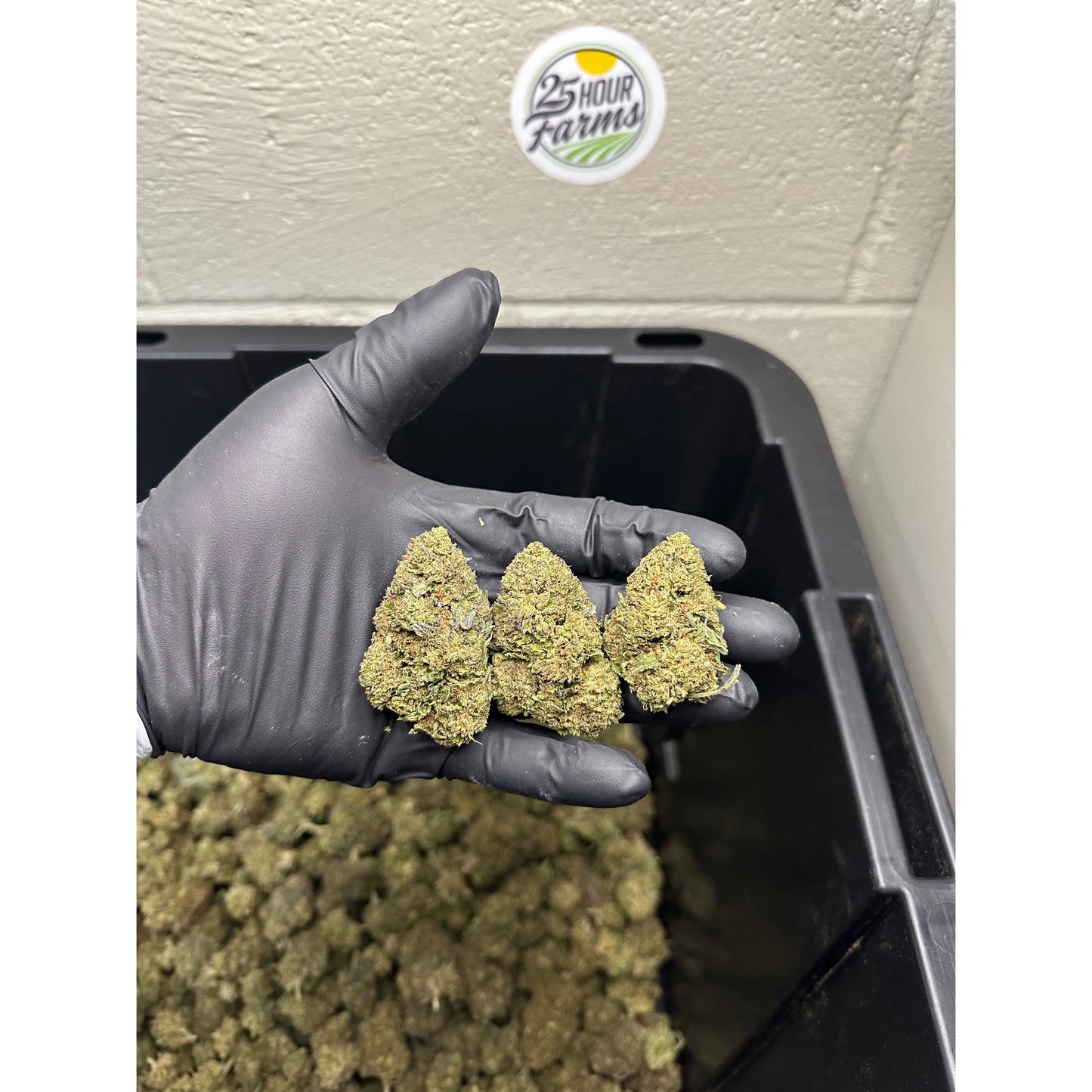 Bubba 59 CBD Hemp Flower