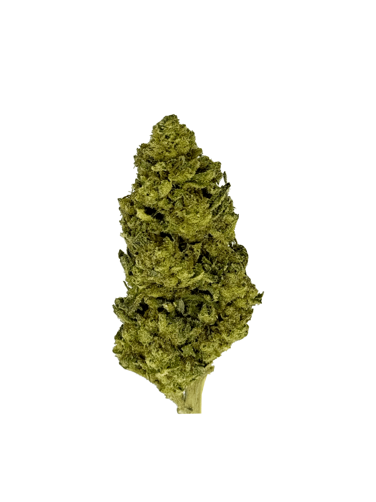 MAC 1 THCa Flower
