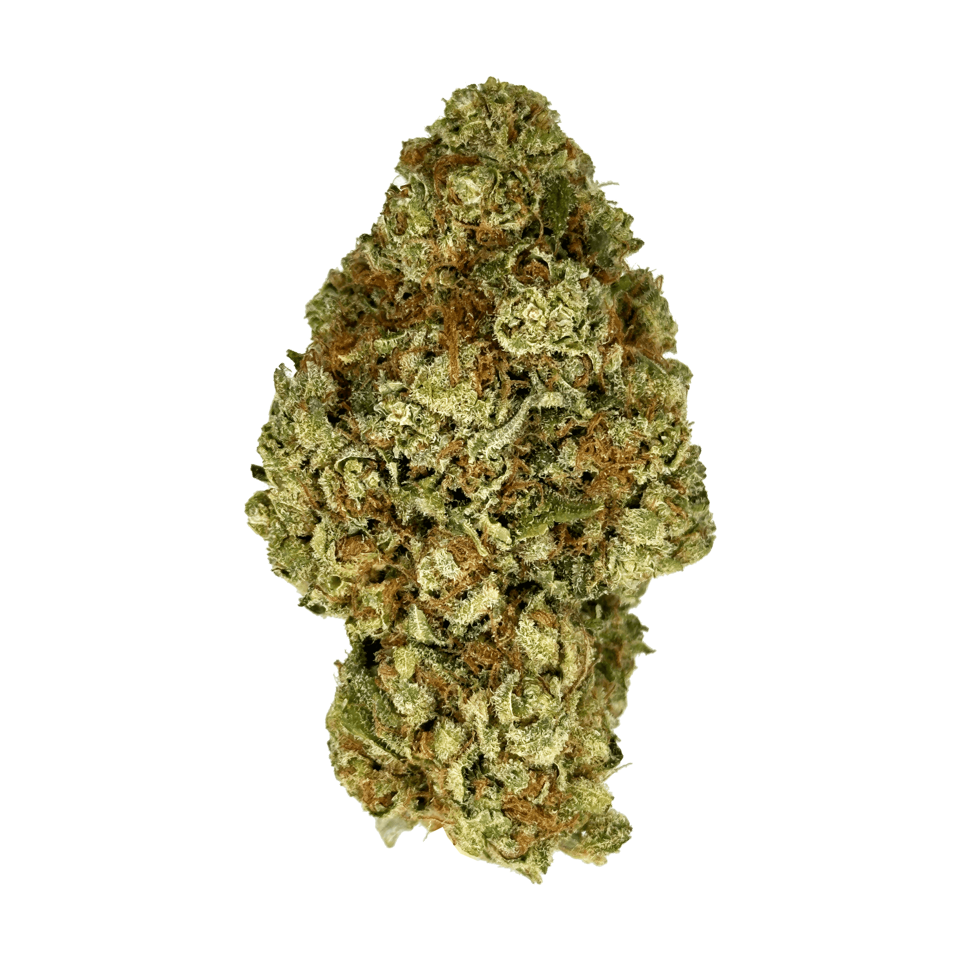 Indoor Orange Gas CBD Hemp Flower