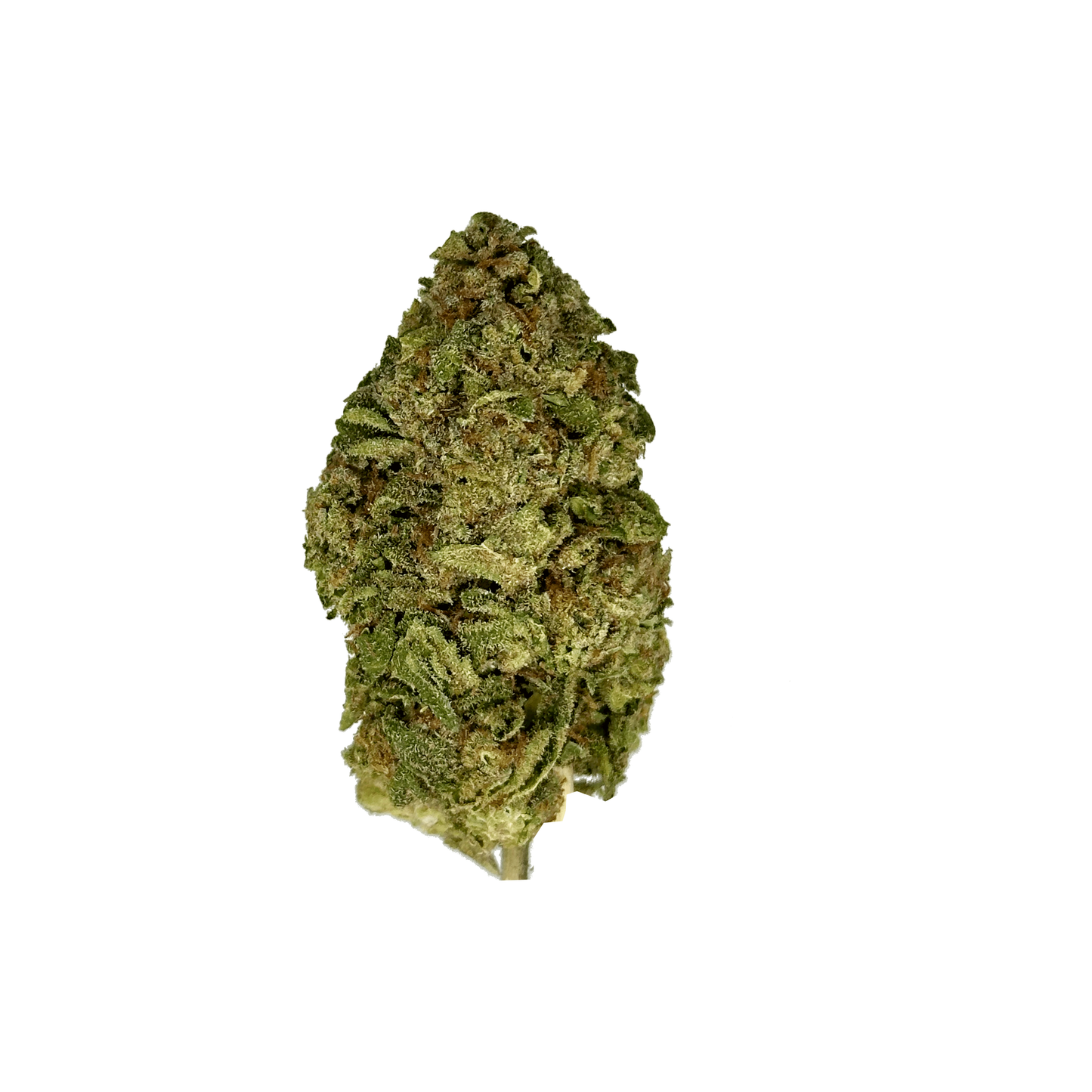 Platinum Cookies THCa Flower
