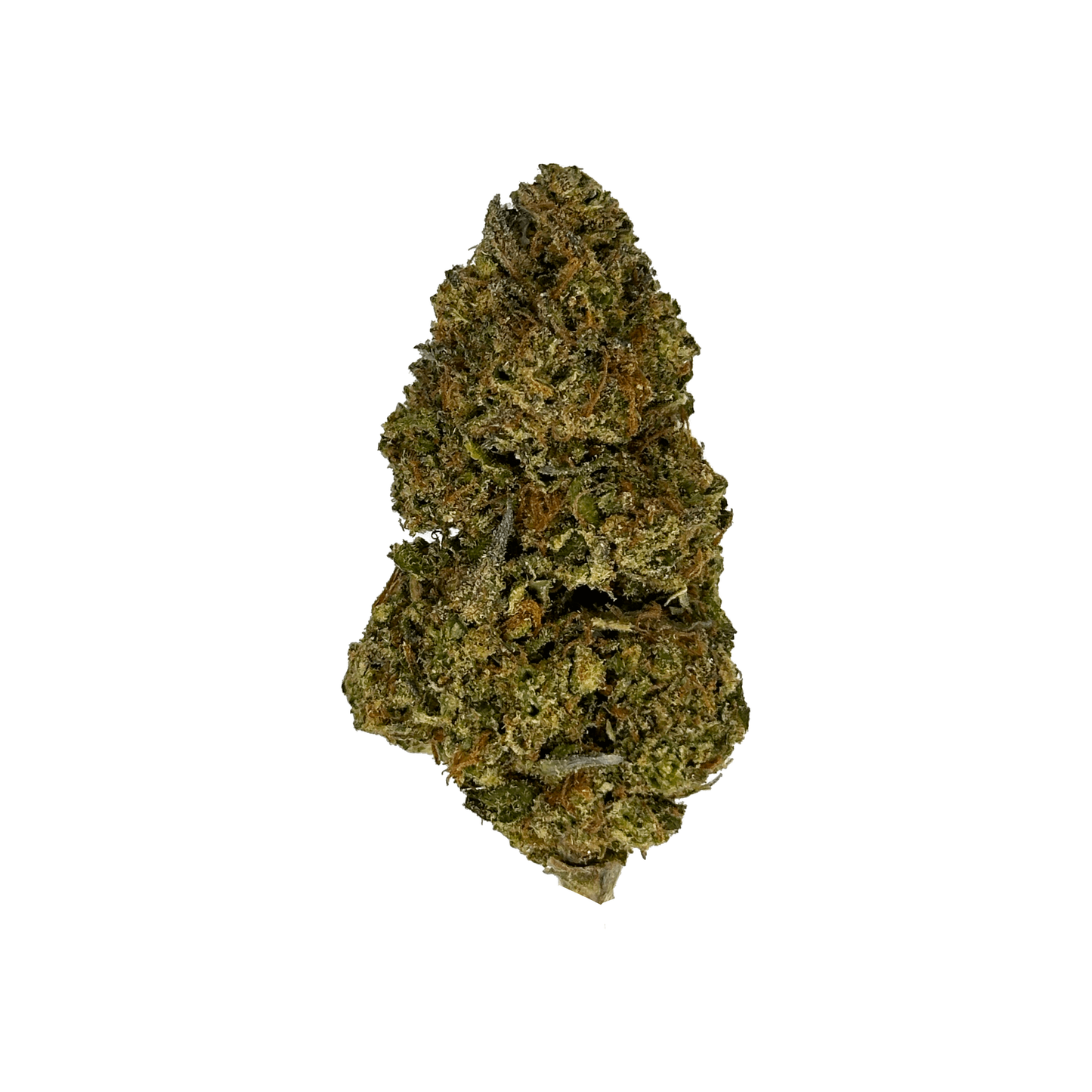 Indoor Red Velvet Runtz strain - THCA Flower