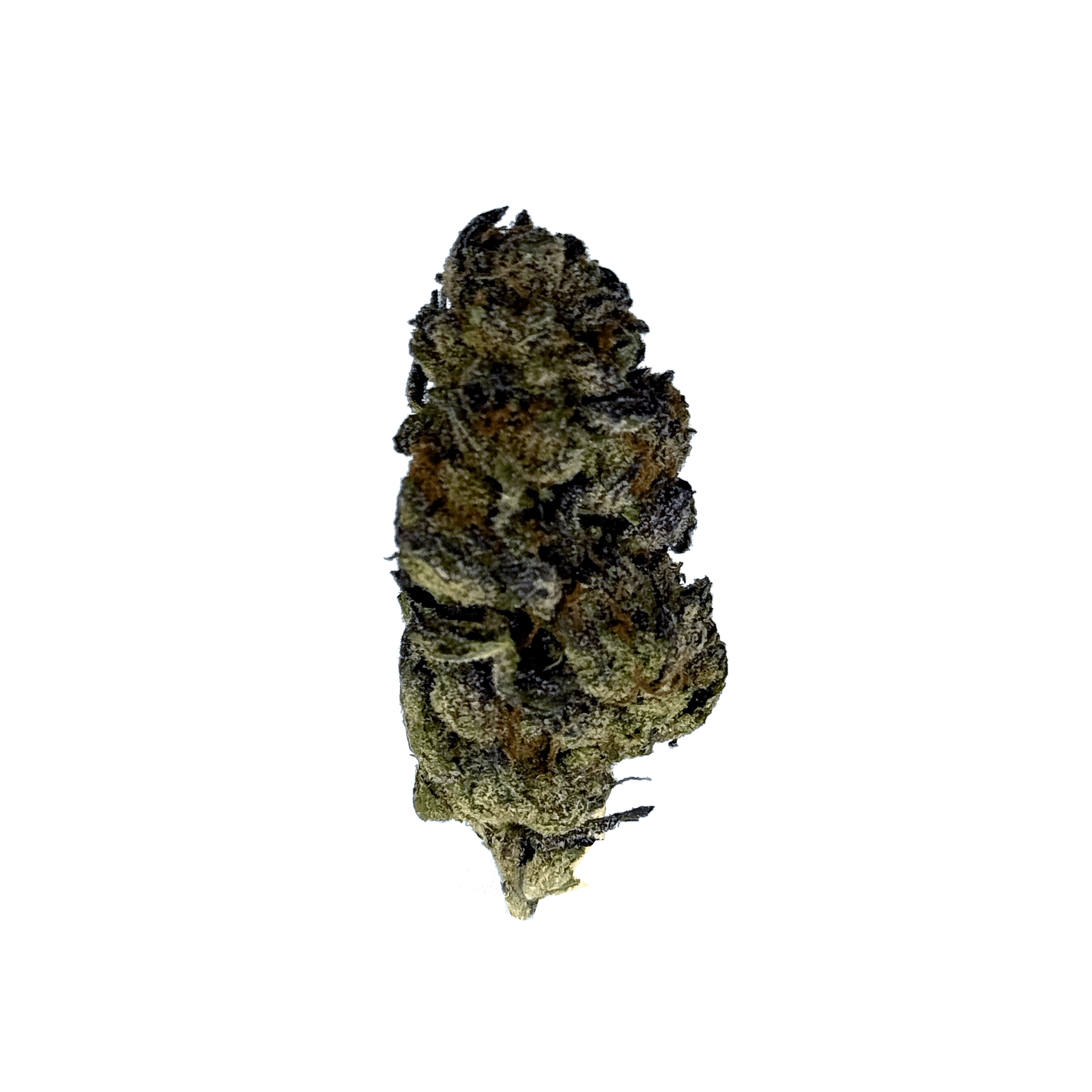 The Butcher THCa Flower