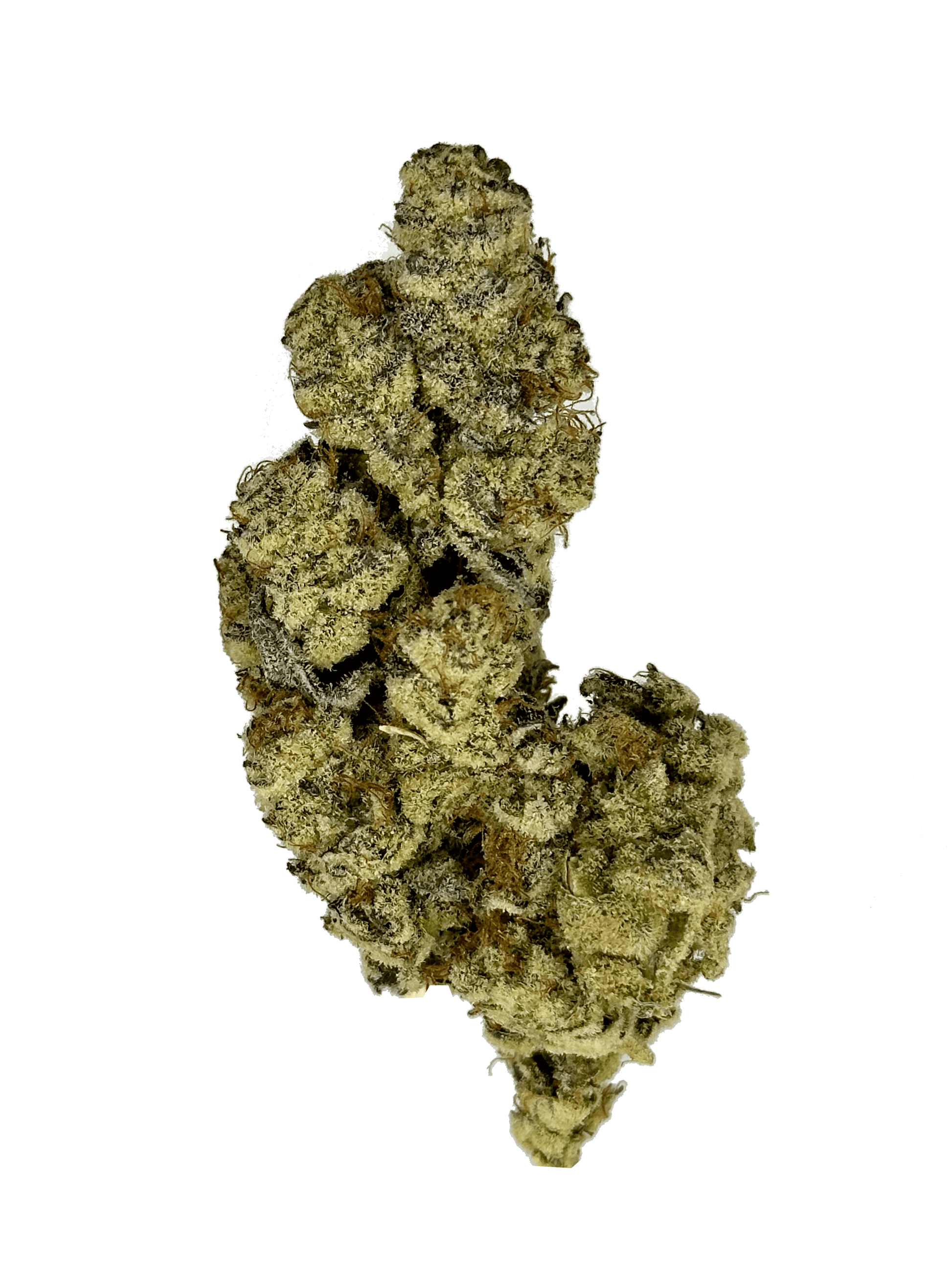 Indoor Truffle Cake strain - THCA Flower