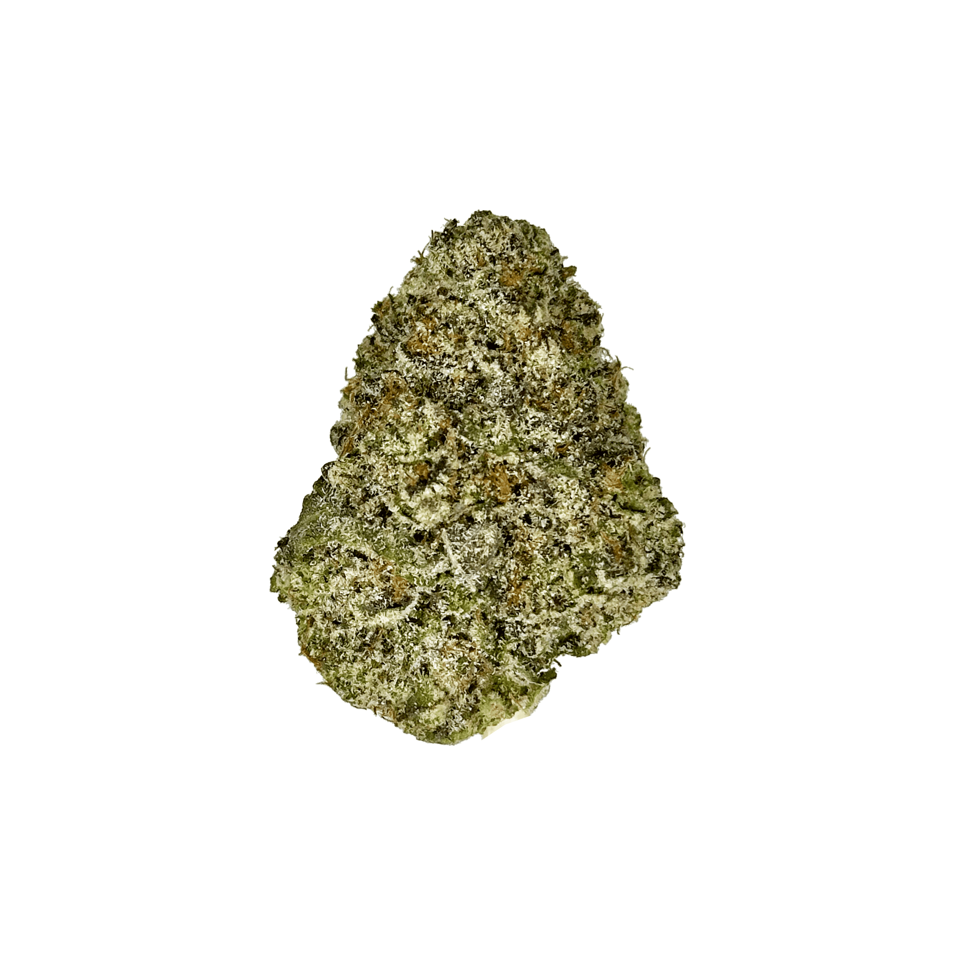Indoor Trump Runtz strain - THCA Flower