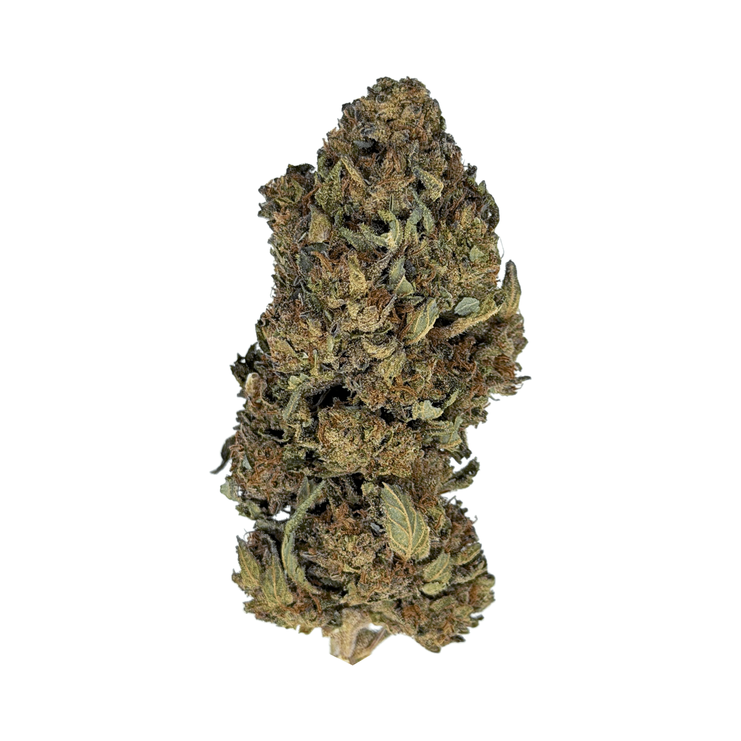 White Durban THCa Flower