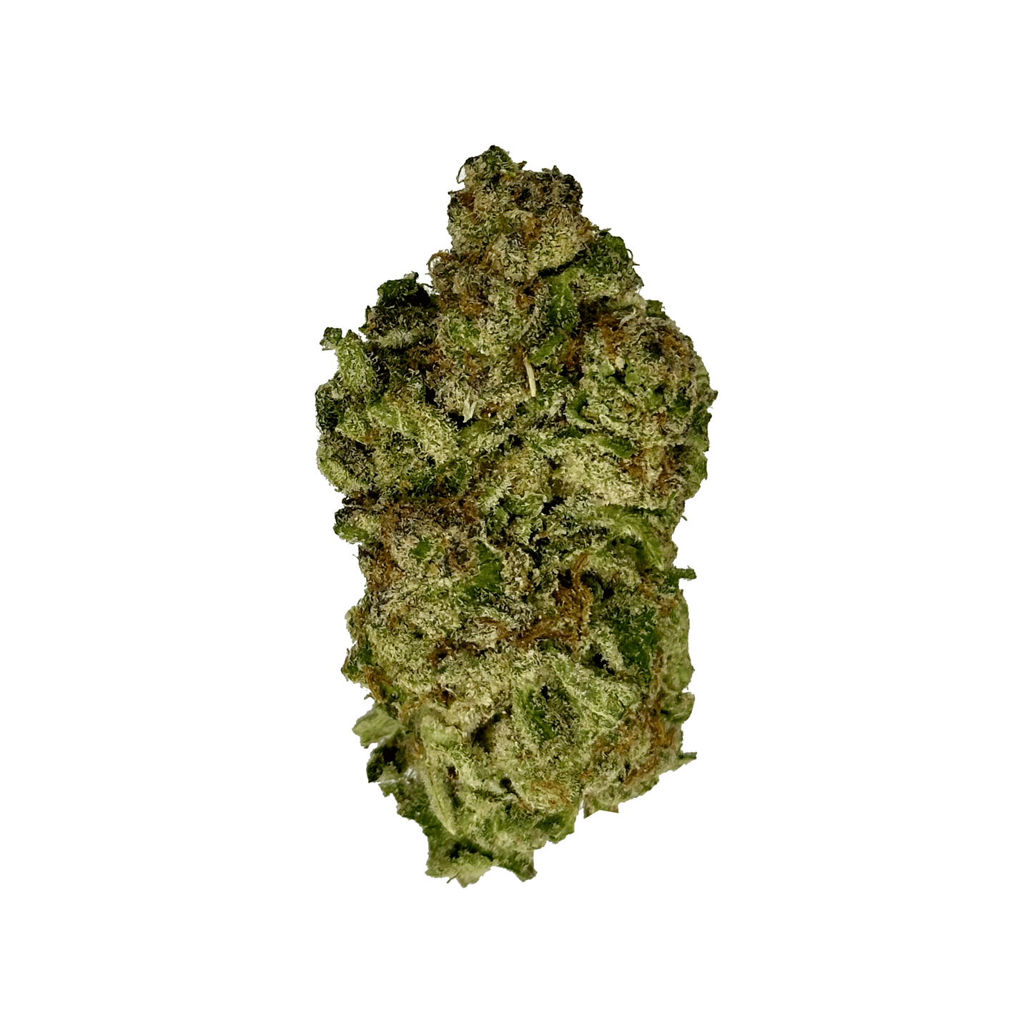 White Truffle Strain - THCA Flower