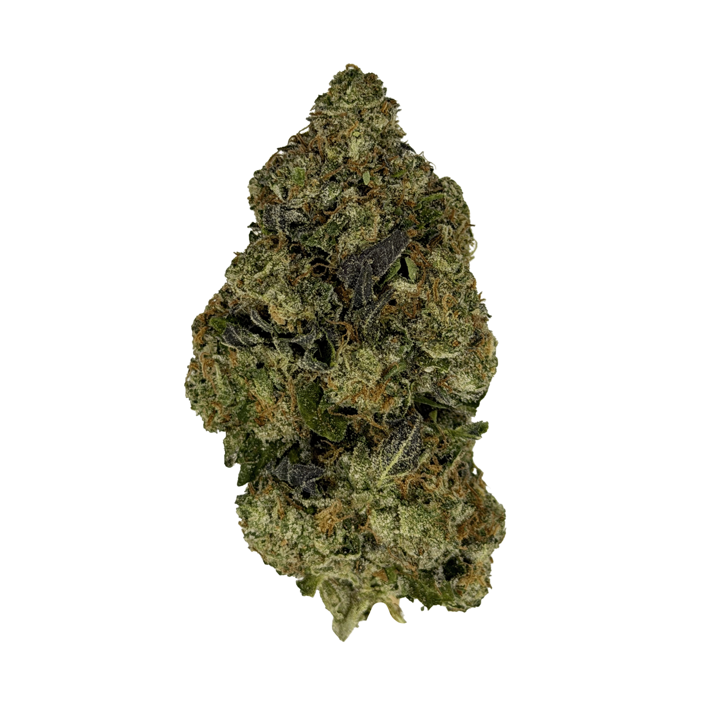 White Russian THCa Flower