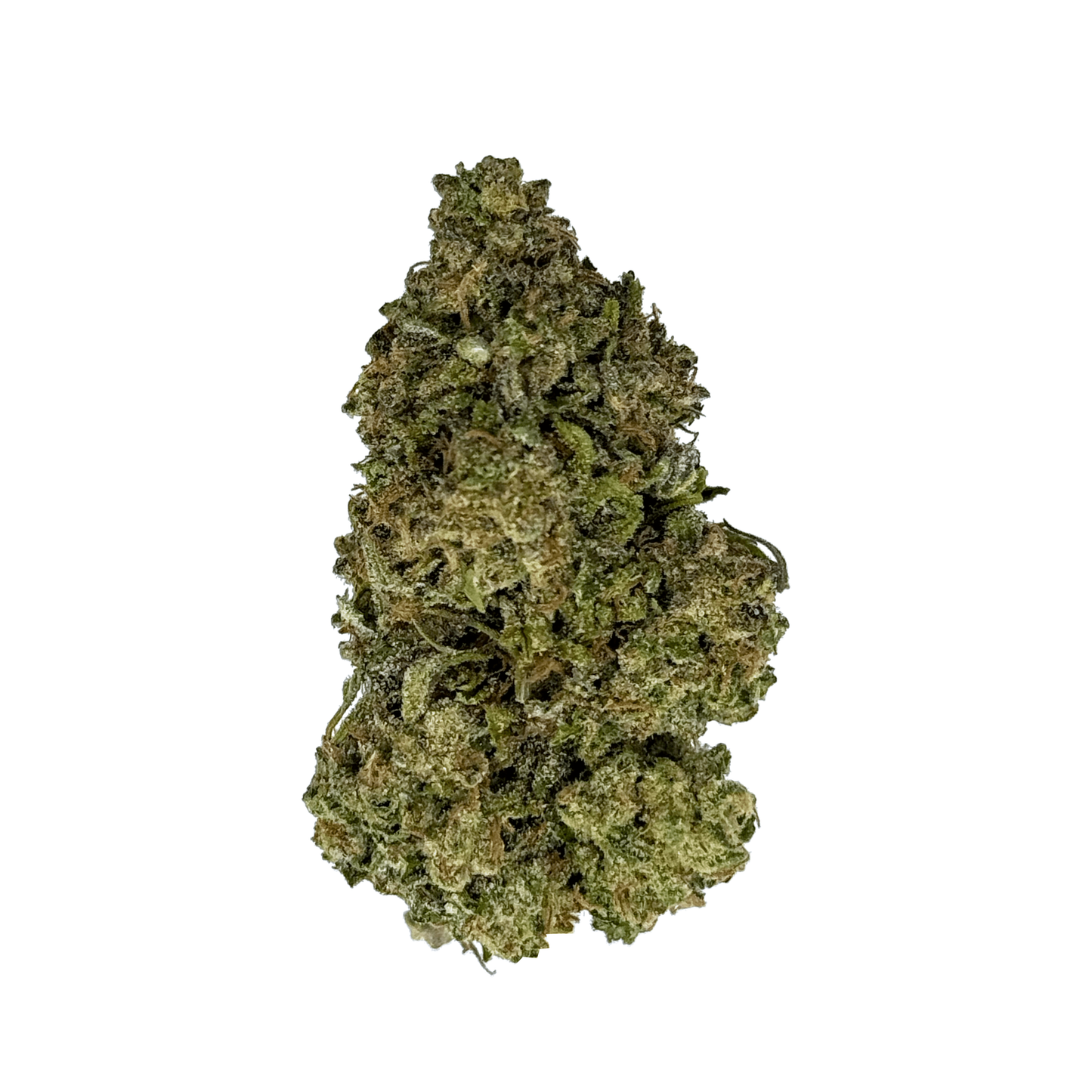 Government Oasis THCA Flower