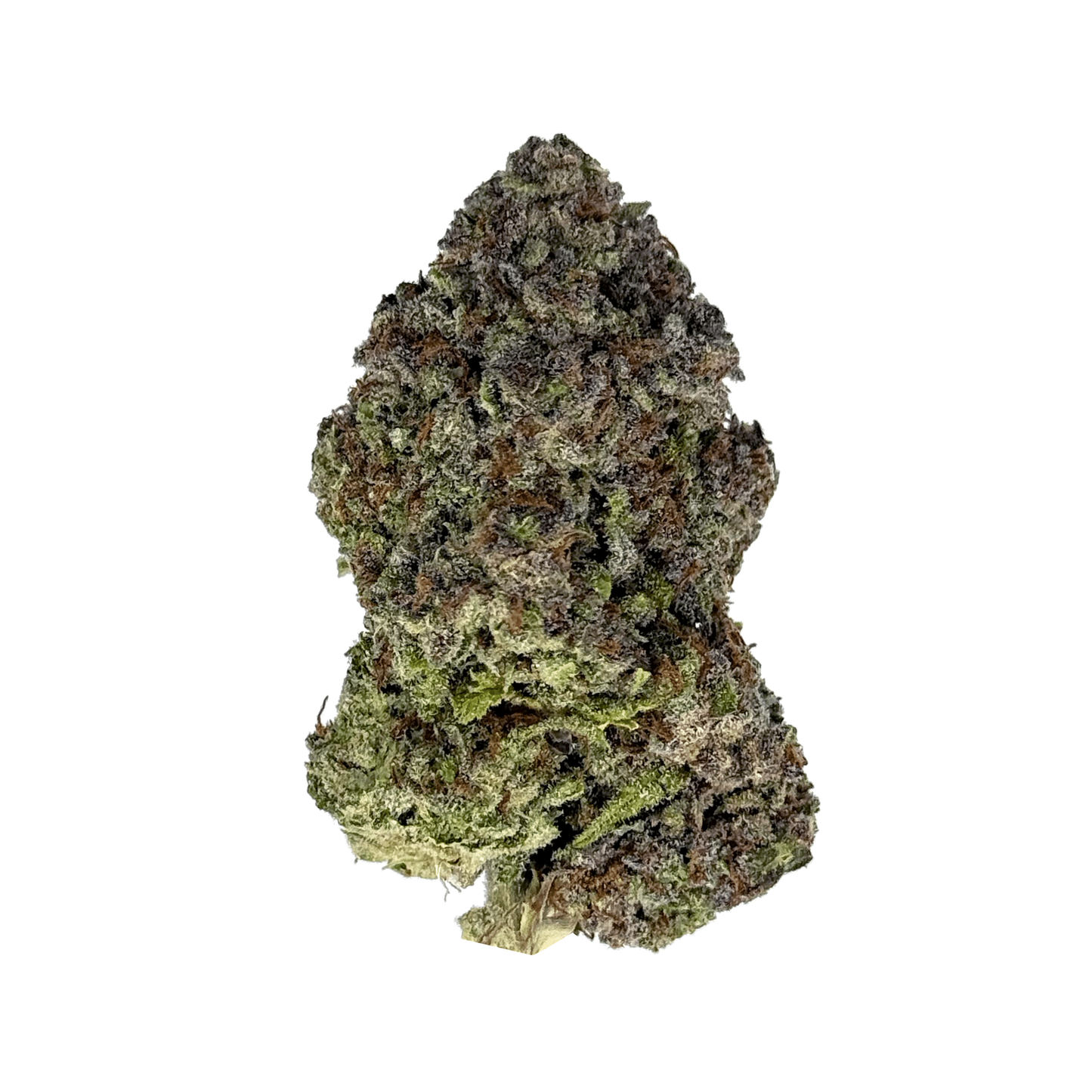 Hash Burger THCa Flower