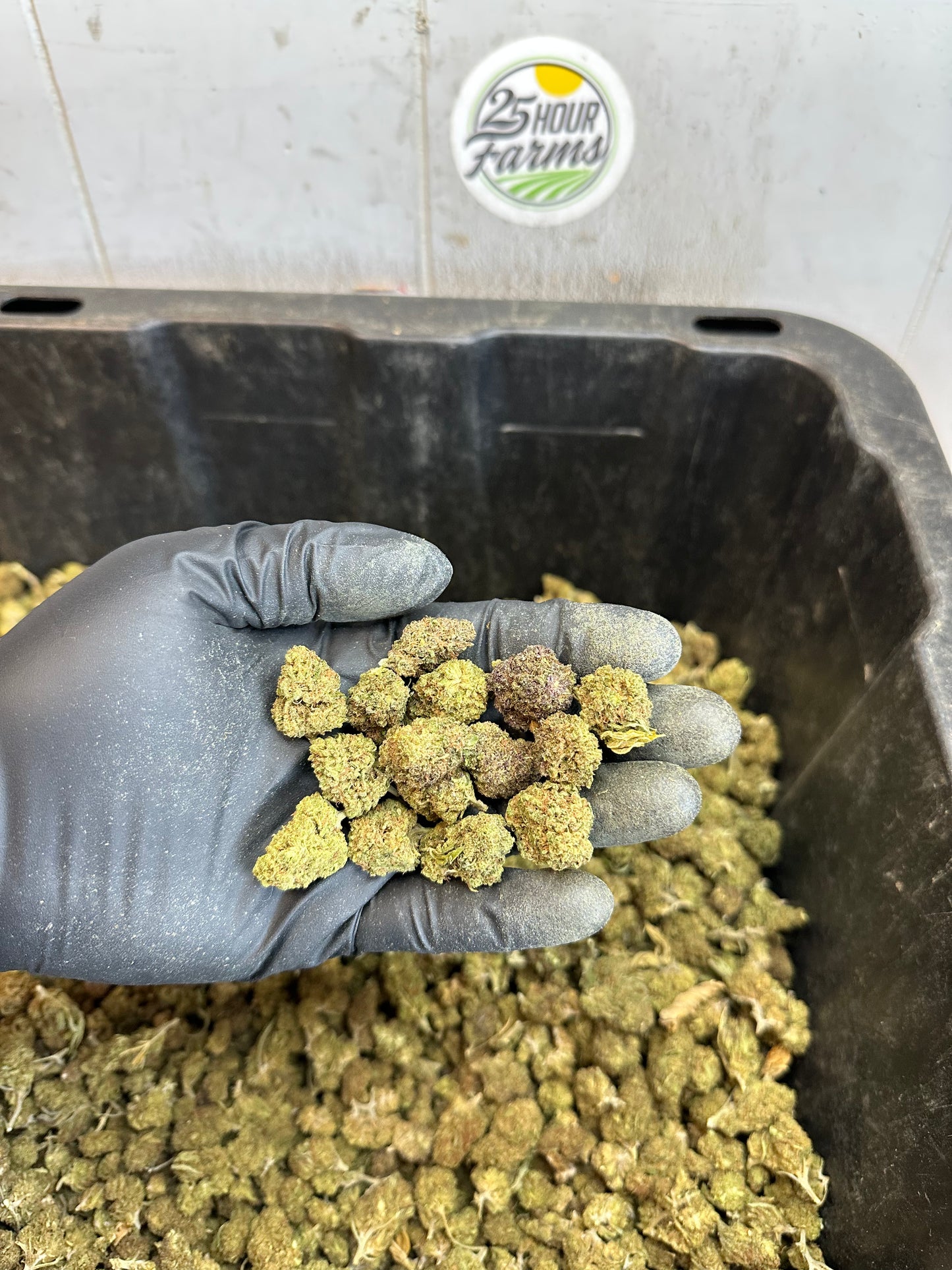 Froot Funk Hemp Flower Smalls