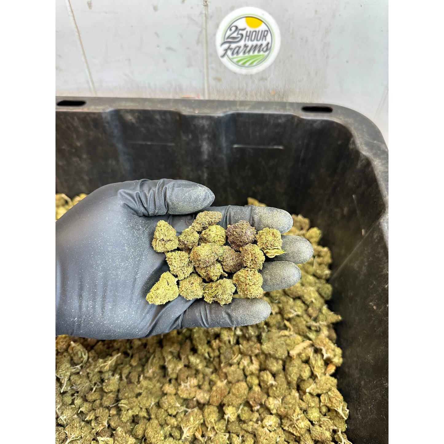 Froot Funk Hemp Flower Smalls