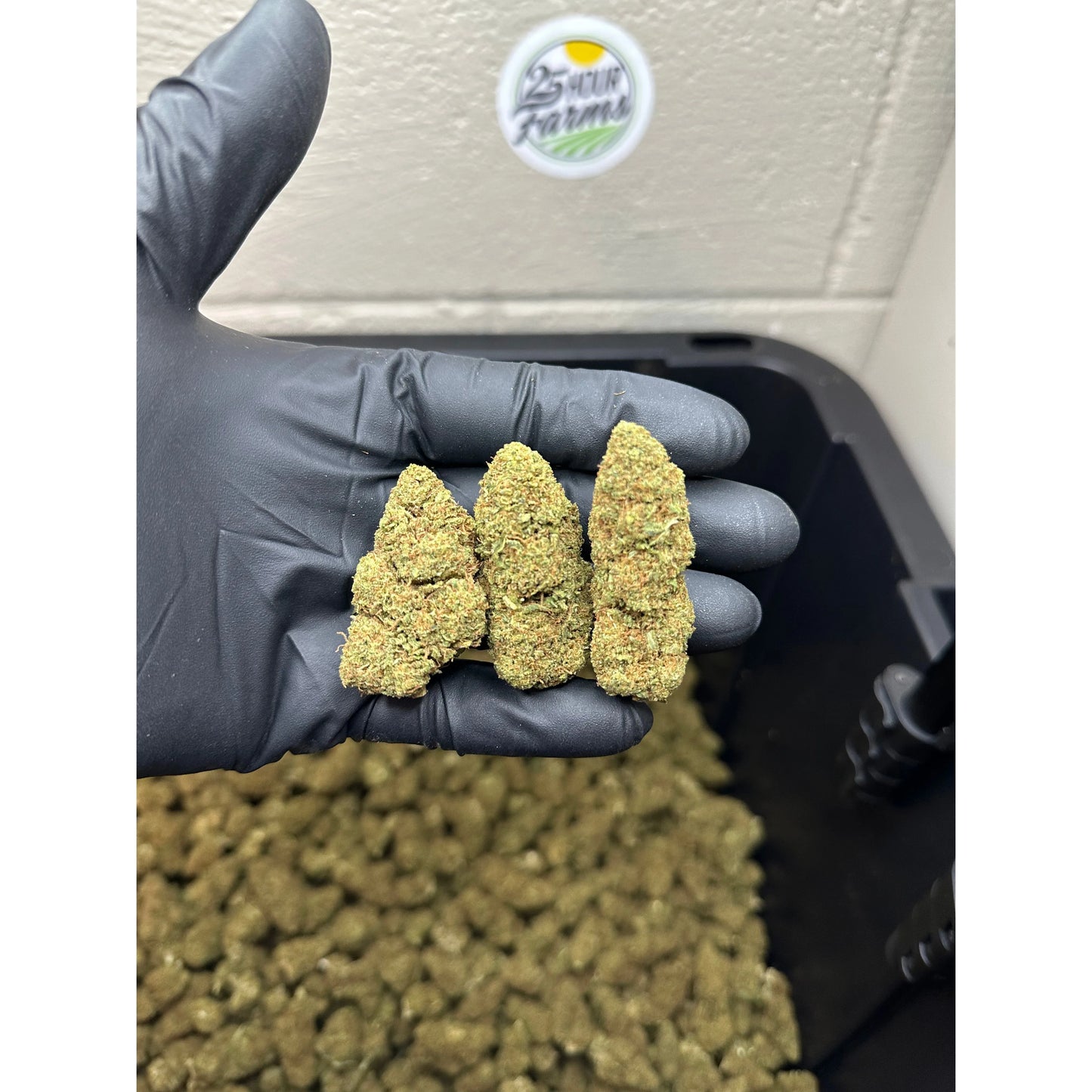 Wedding Cake Hemp Flower