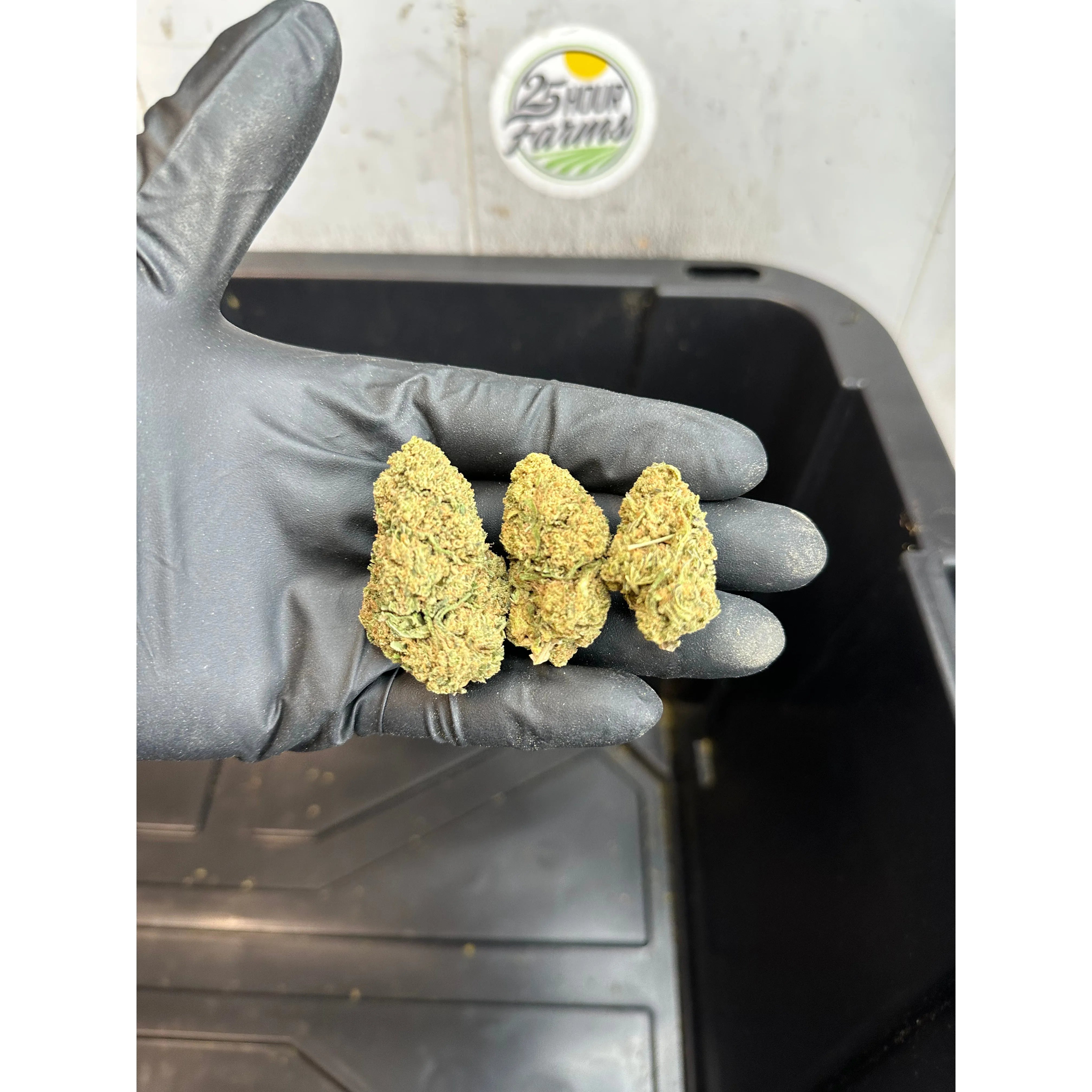 Kush Mintz Hemp Flower