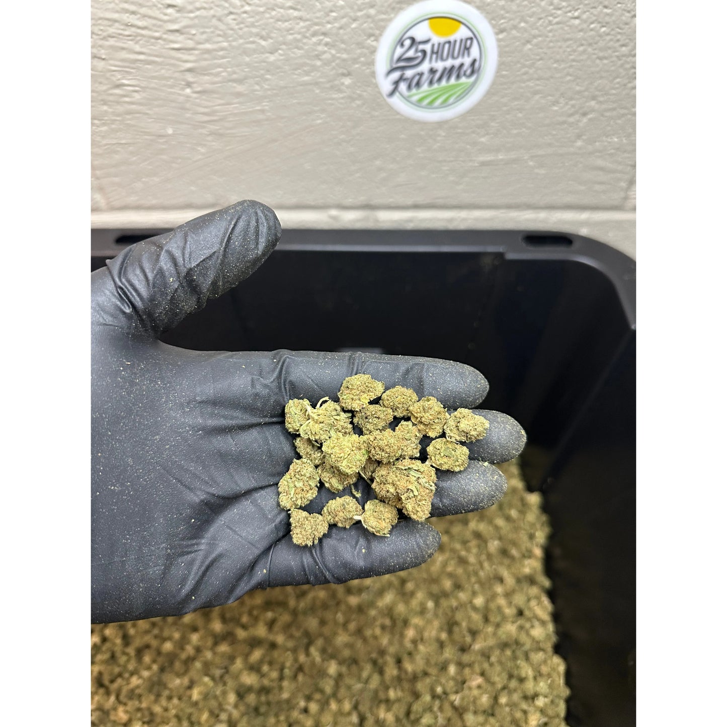 Kush Mintz Hemp Flower Smalls