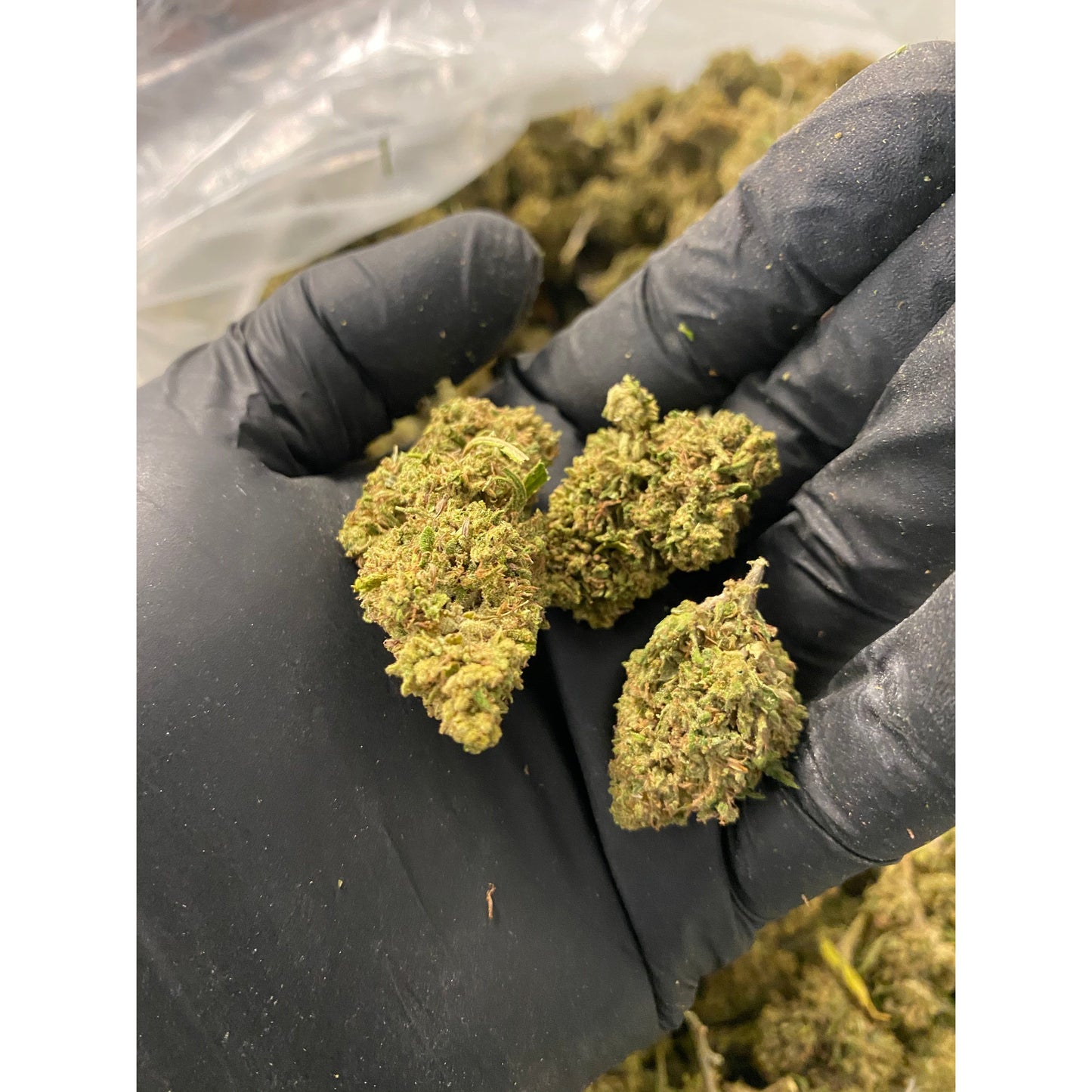 Berry Blossom CBD Flower
