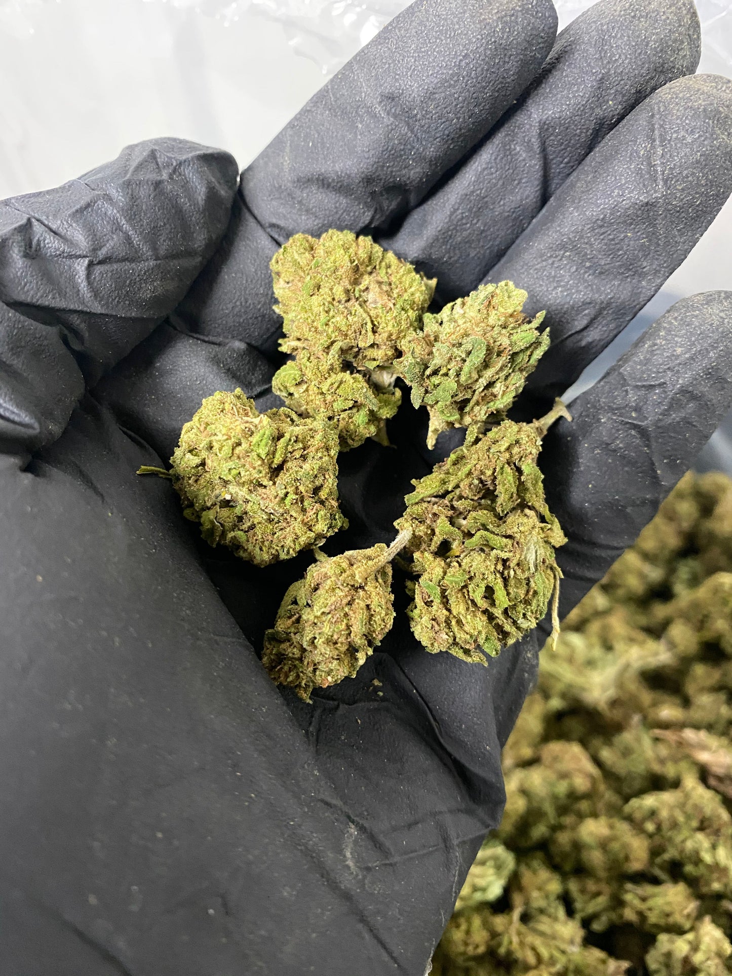 Hawaiian Haze CBD Flower