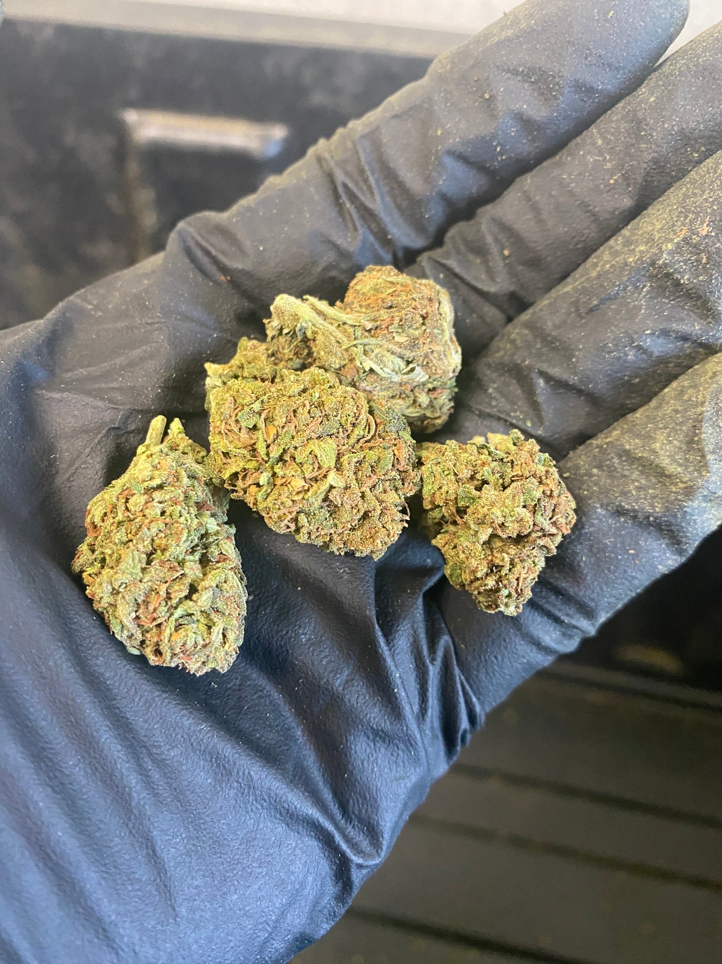 Tokyo CBD Hemp Flower