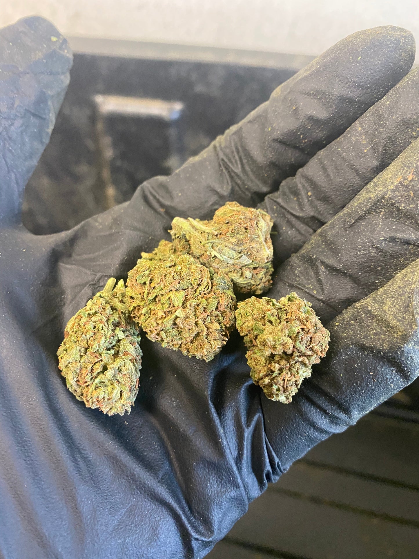 Tokyo CBD Hemp Flower
