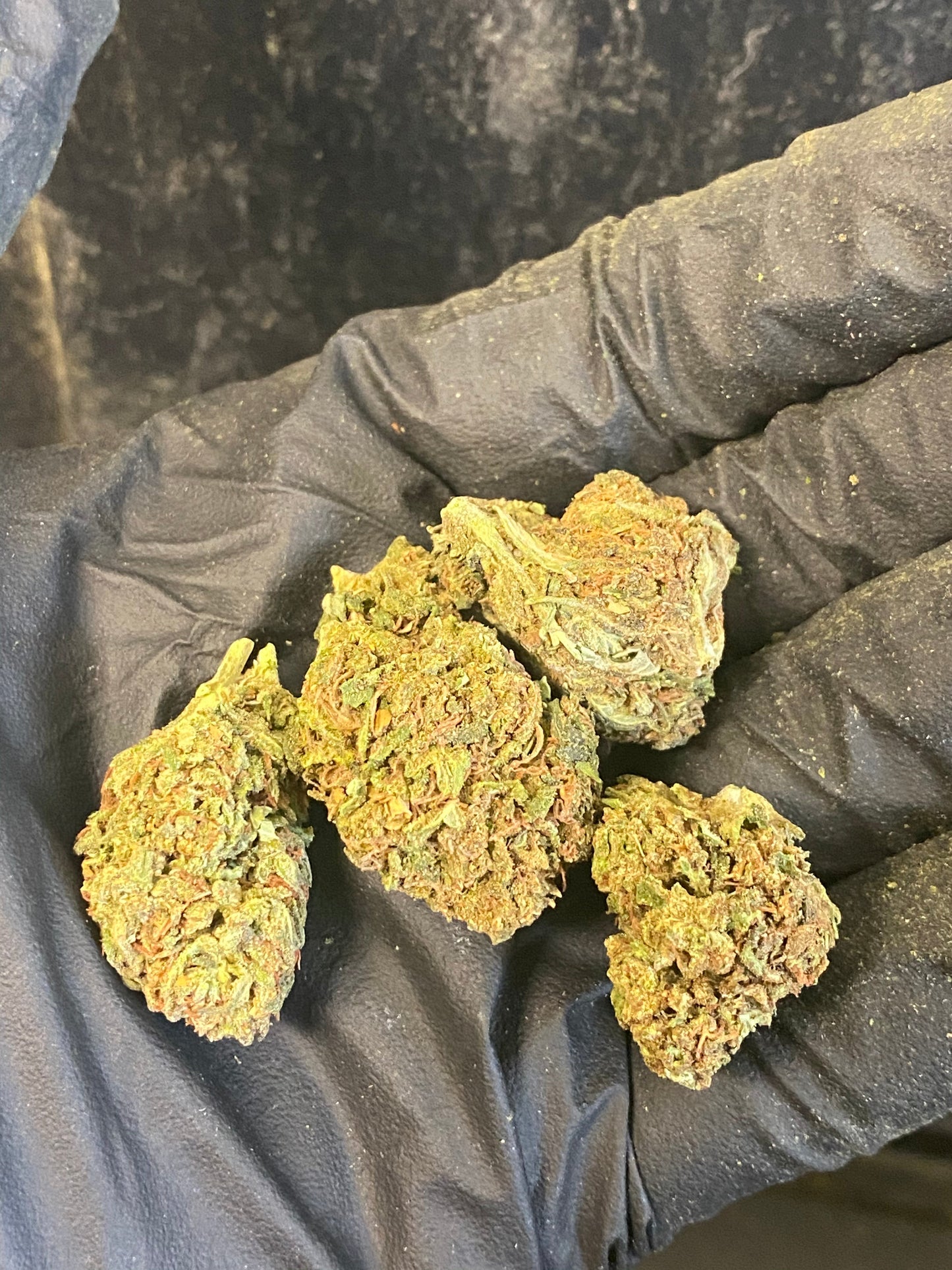 Tokyo CBD Hemp Flower