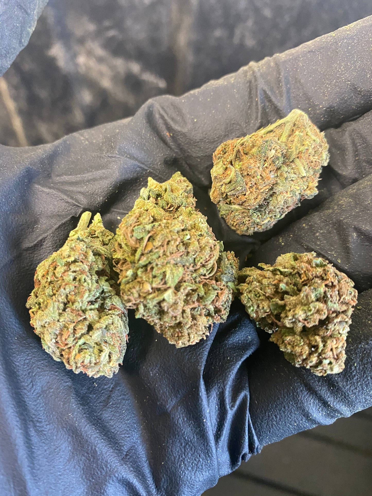 Tokyo CBD Hemp Flower